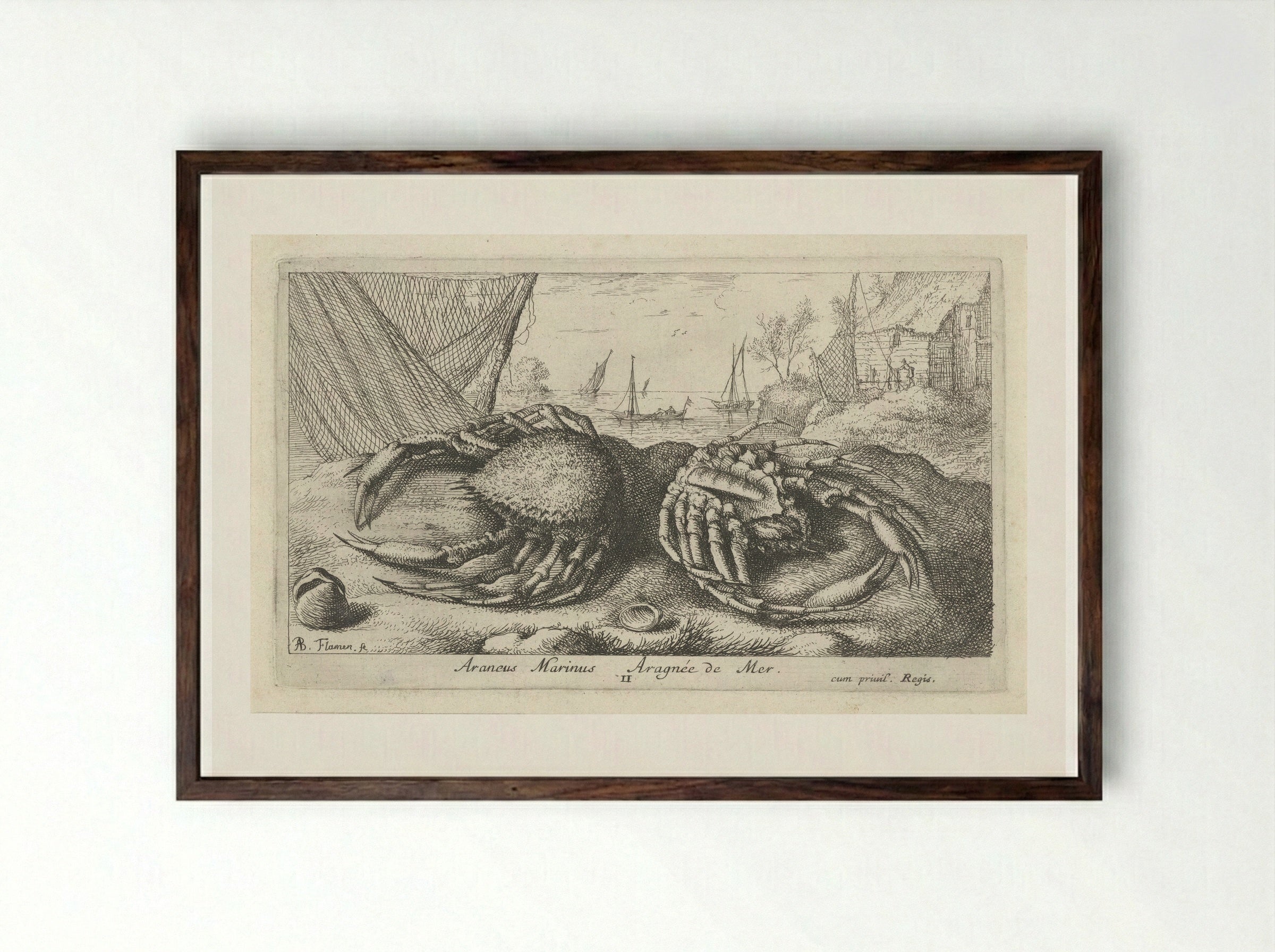 Twee spinkrabben bij een visnet - Albert Flamen - Framed Print Dark Wood