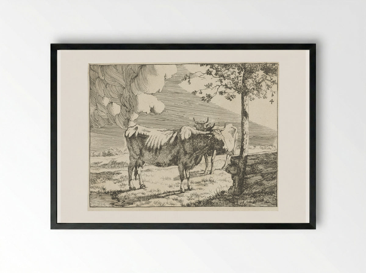 Twee staande koeien - Marcus de Bye - Framed Print Black
