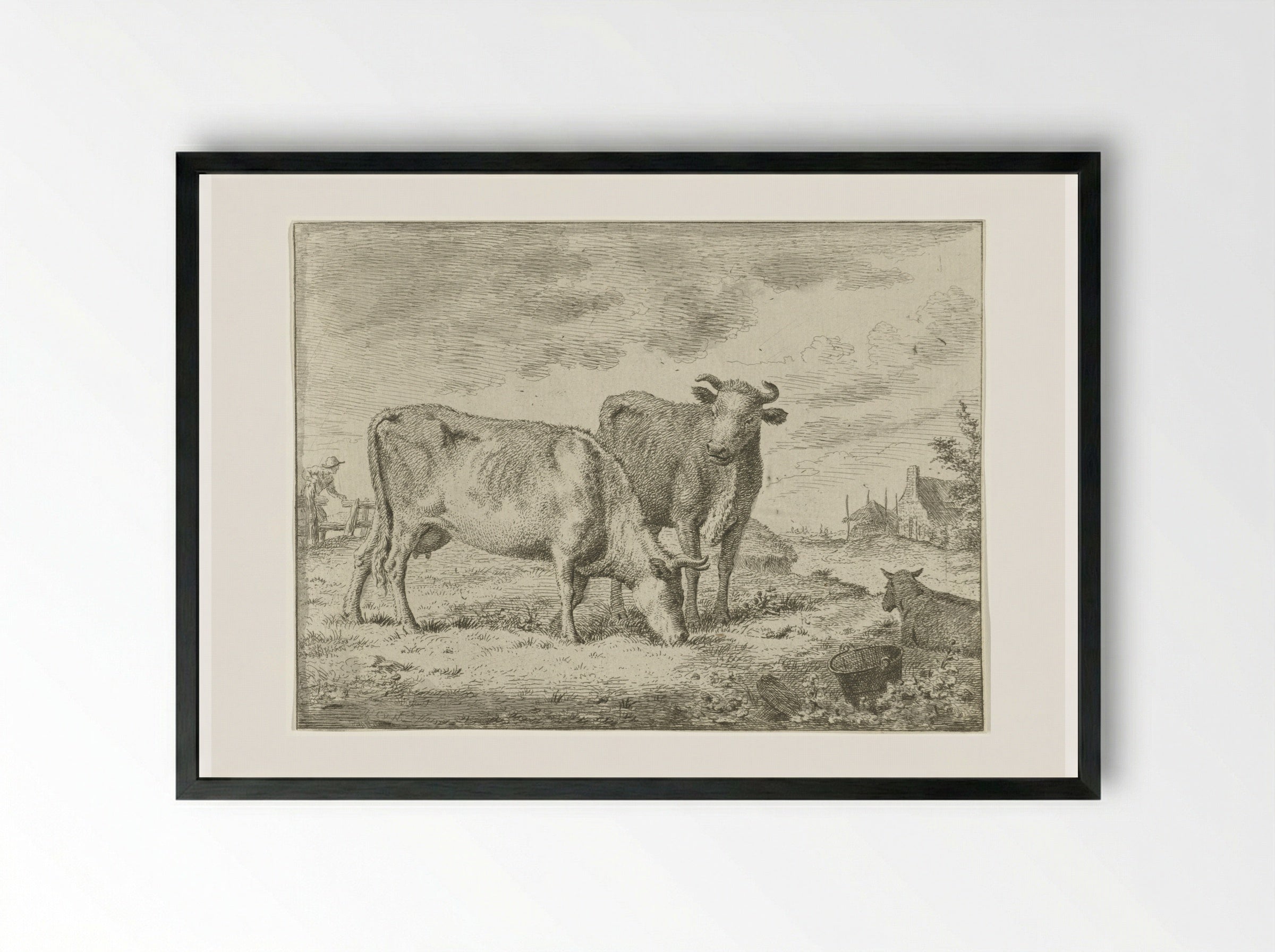 Twee staande koeien - Cornelis van Noorde - Framed Print Black