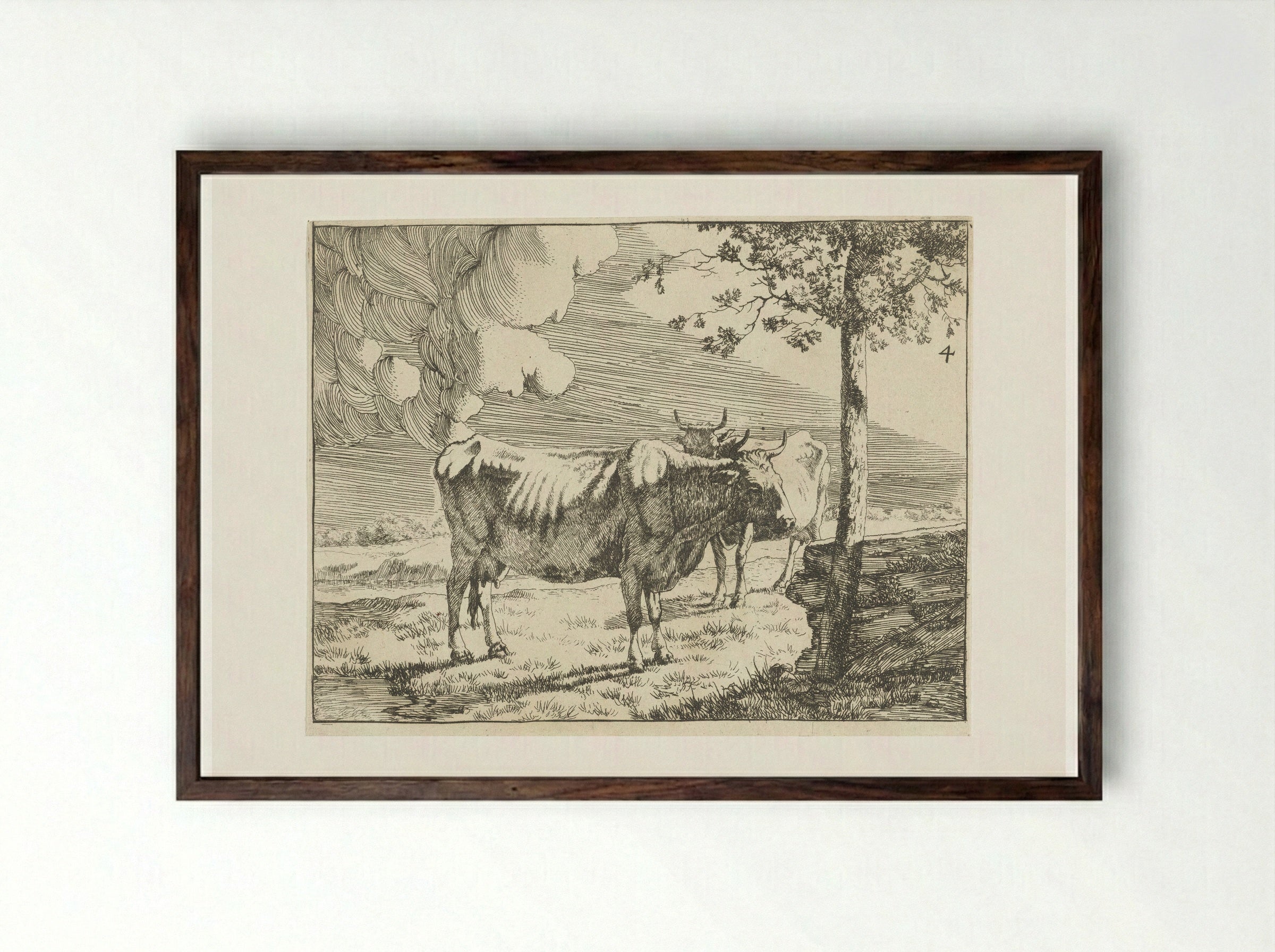 Twee staande koeien - Marcus de Bye - Framed Print Dark Wood