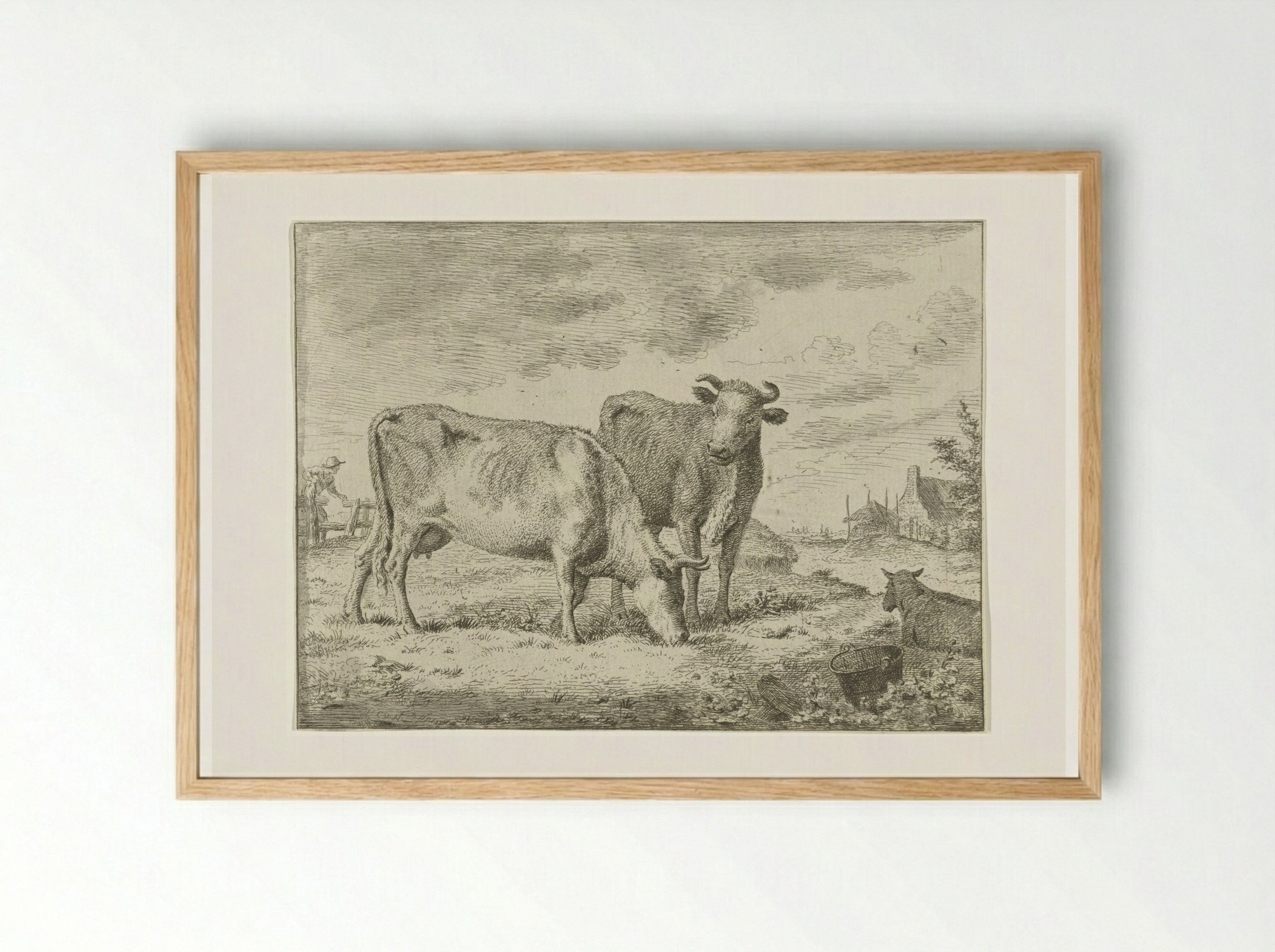 Twee staande koeien - Cornelis van Noorde - Framed Print Wood