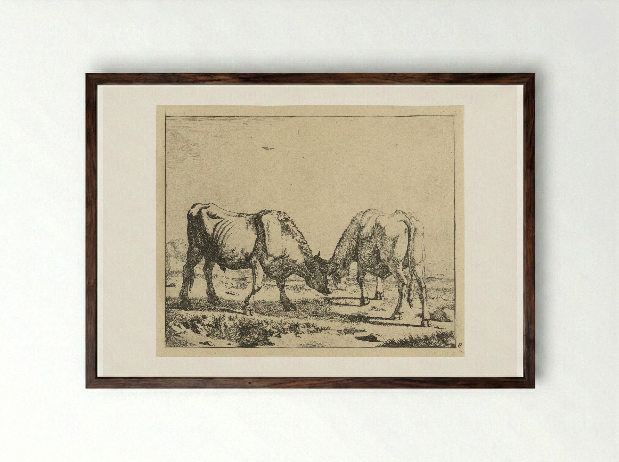 Twee stieren, de koppen bijeen - Marcus de Bye - Framed Print Dark Wood