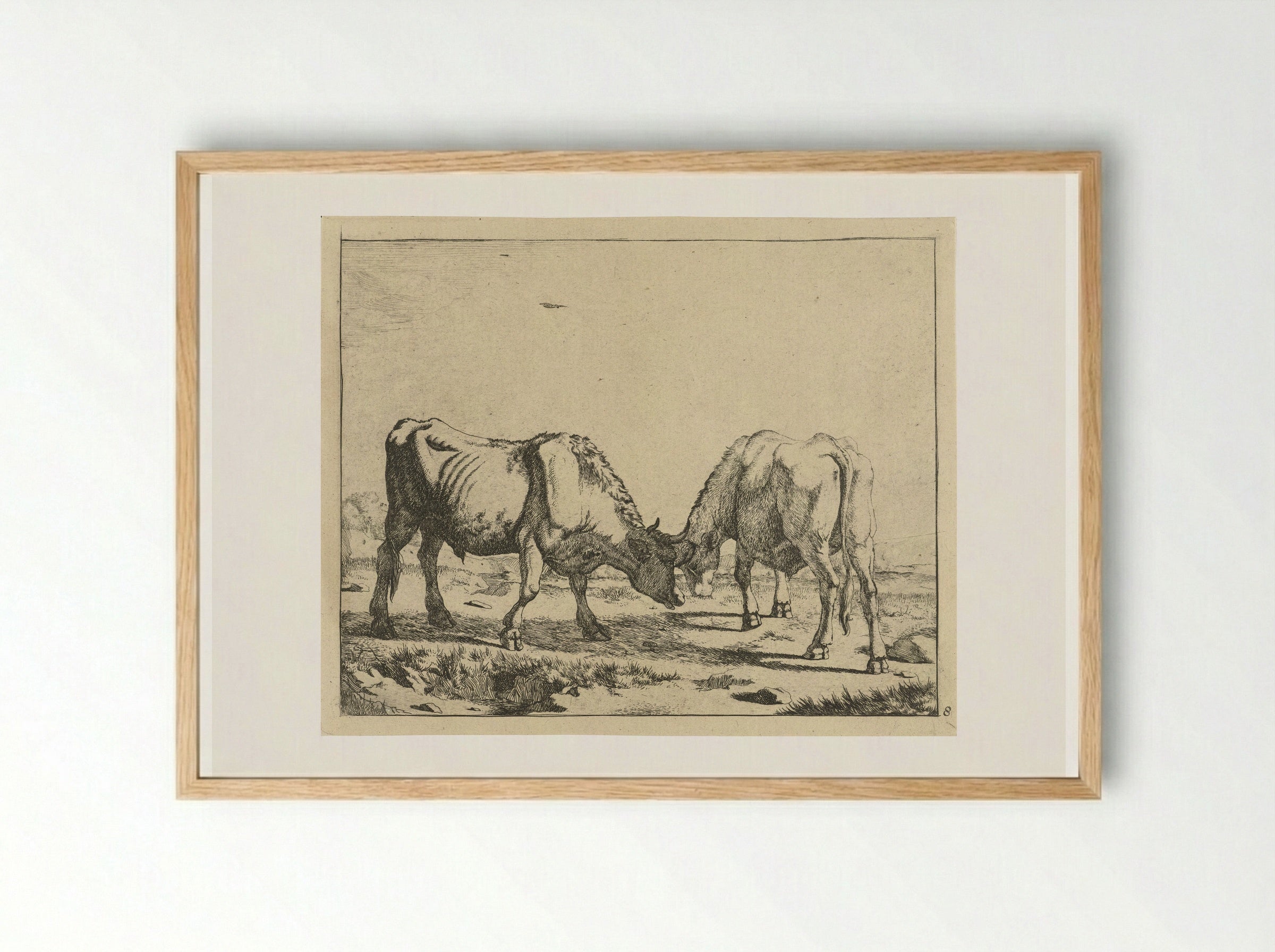 Twee stieren, de koppen bijeen - Marcus de Bye - Framed Print Wood