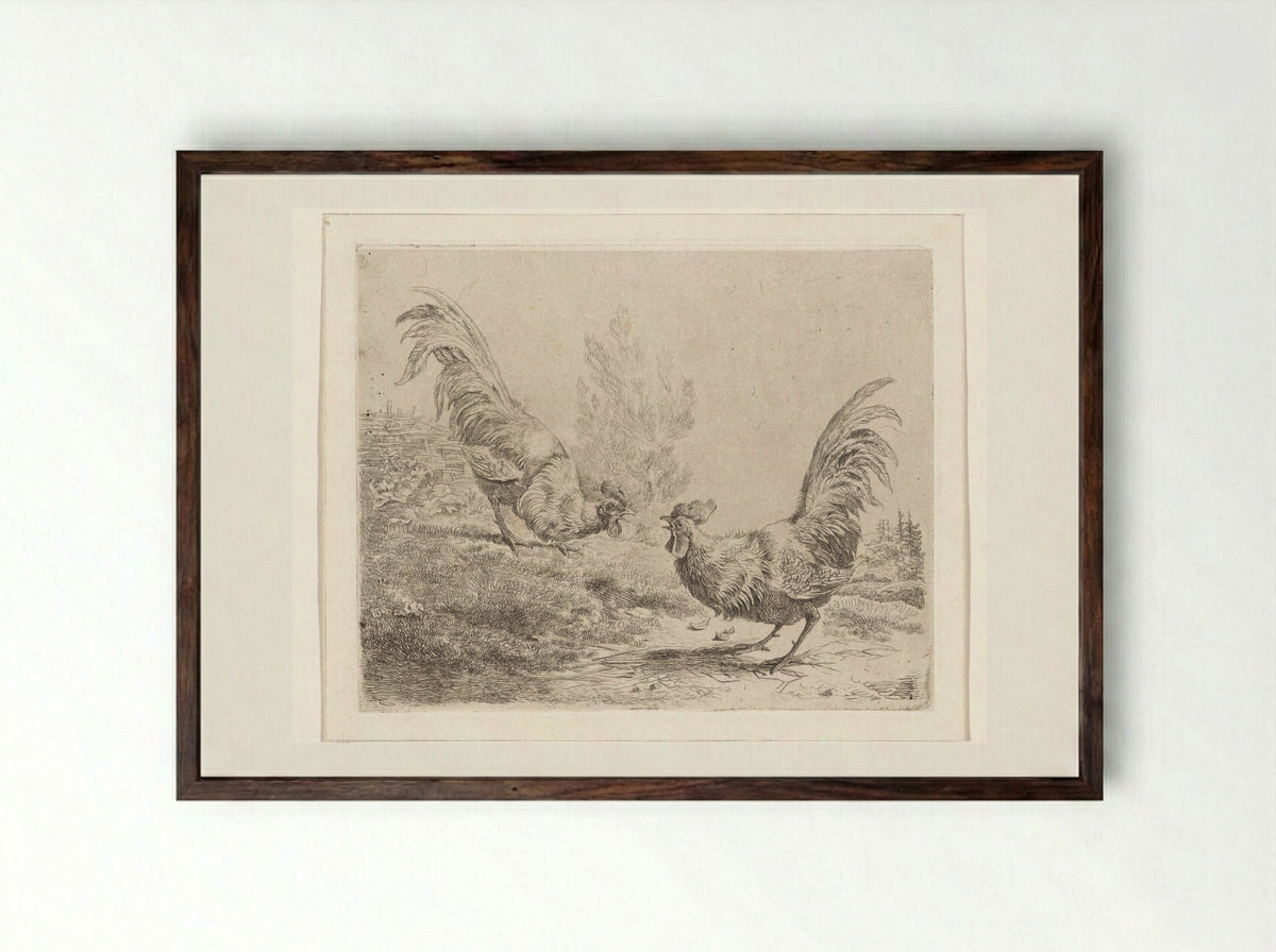 Twee vechtende hanen - Albertus Verhoesen - Framed Print Dark Wood