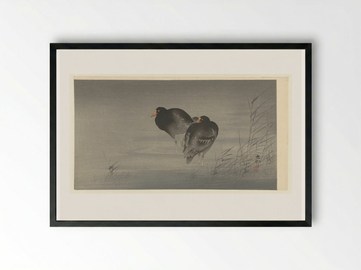 Twee waterhoentjes - Matsuki Heikichi - Framed Print Black