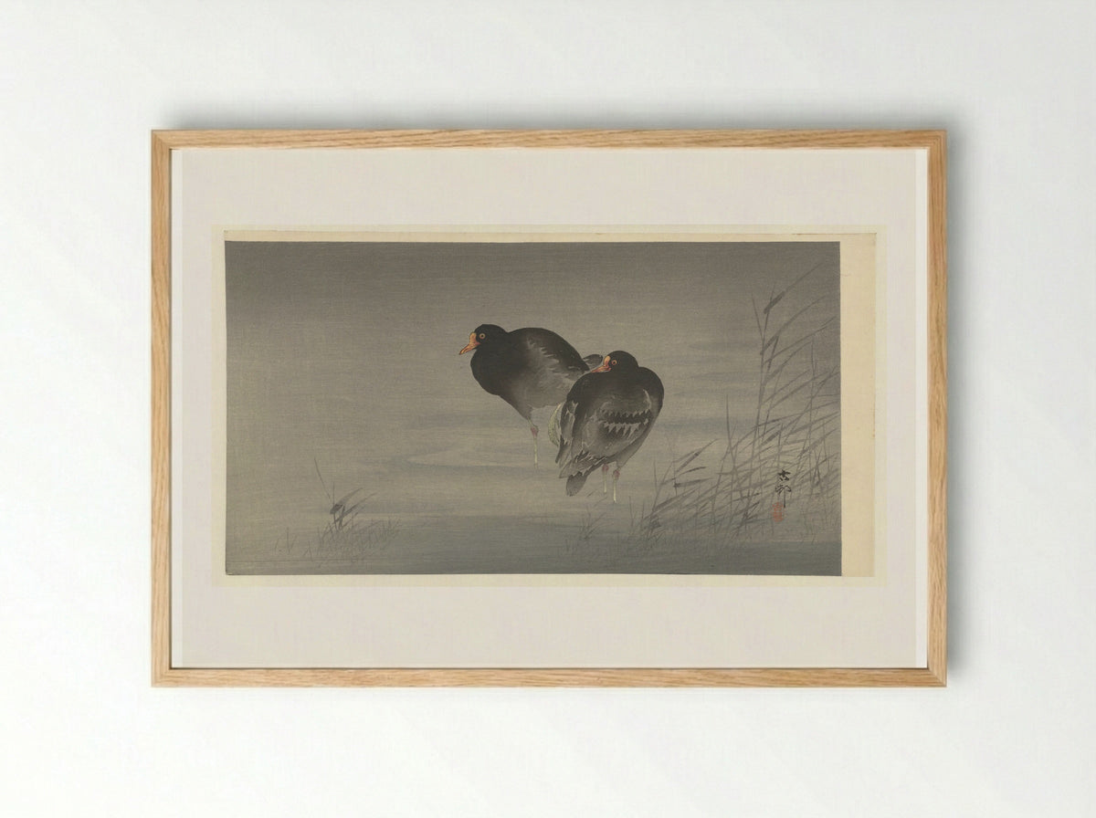 Twee waterhoentjes - Matsuki Heikichi - Framed Print Wood