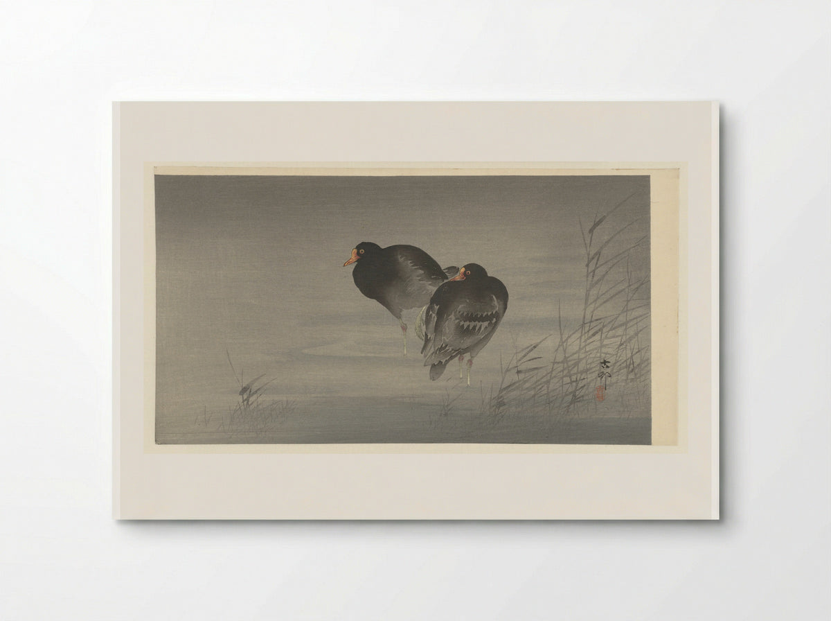 Twee waterhoentjes - Matsuki Heikichi - Poster