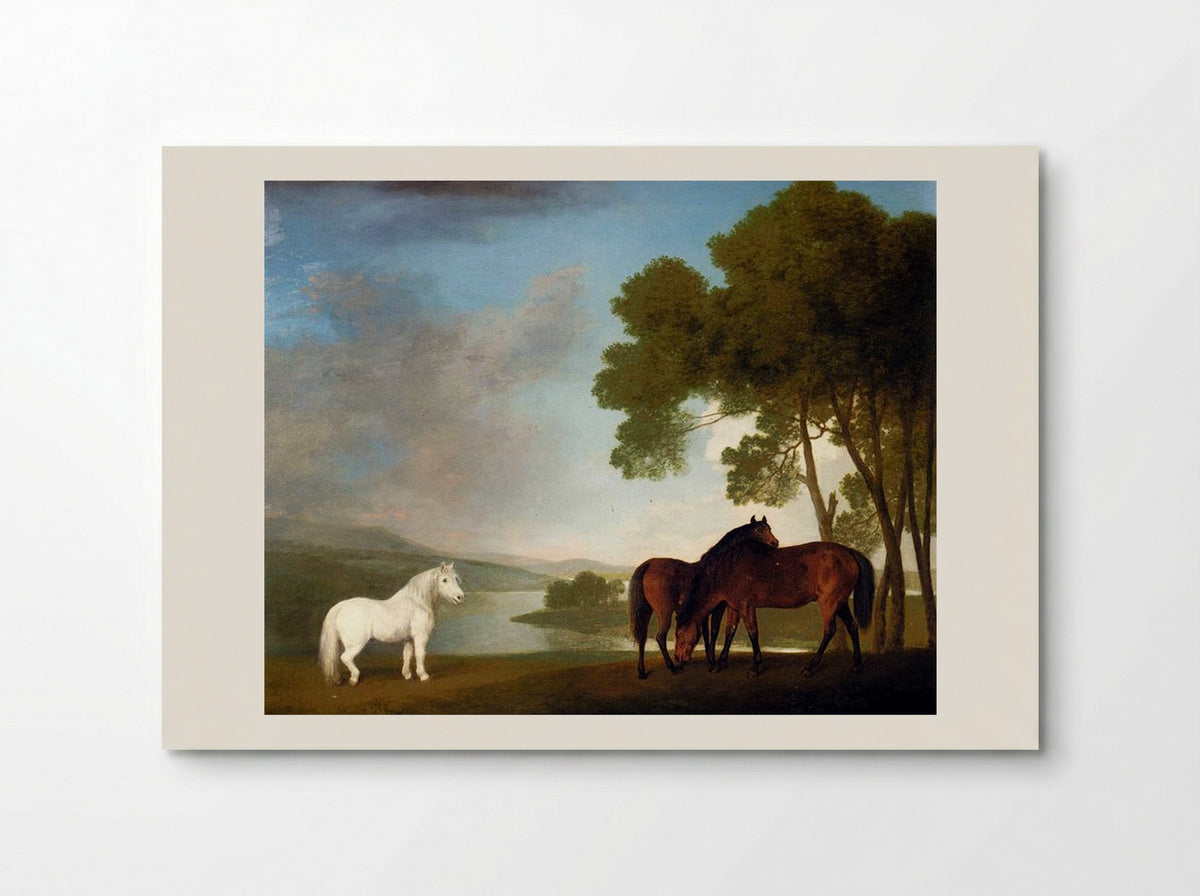 Two Bay Mares and a Grey Pony - George Stubbs - Poster