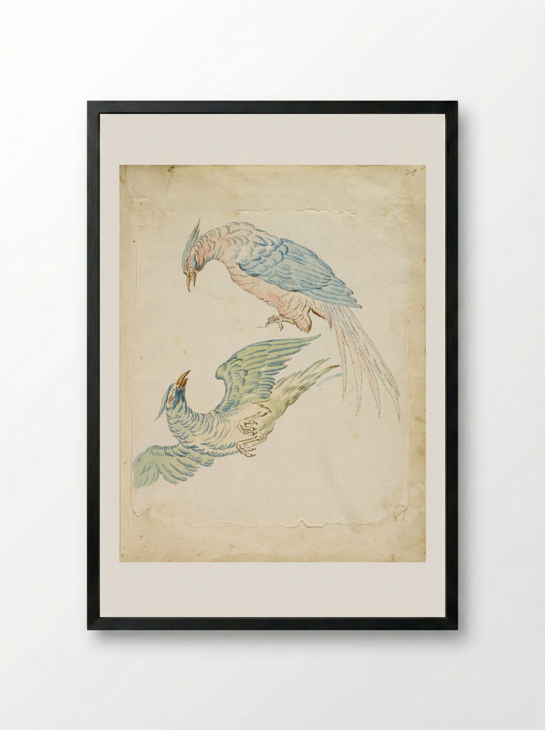 Two Birds, One Perched and One in Flight - Jean-Baptiste Oudry - Framed Print Black