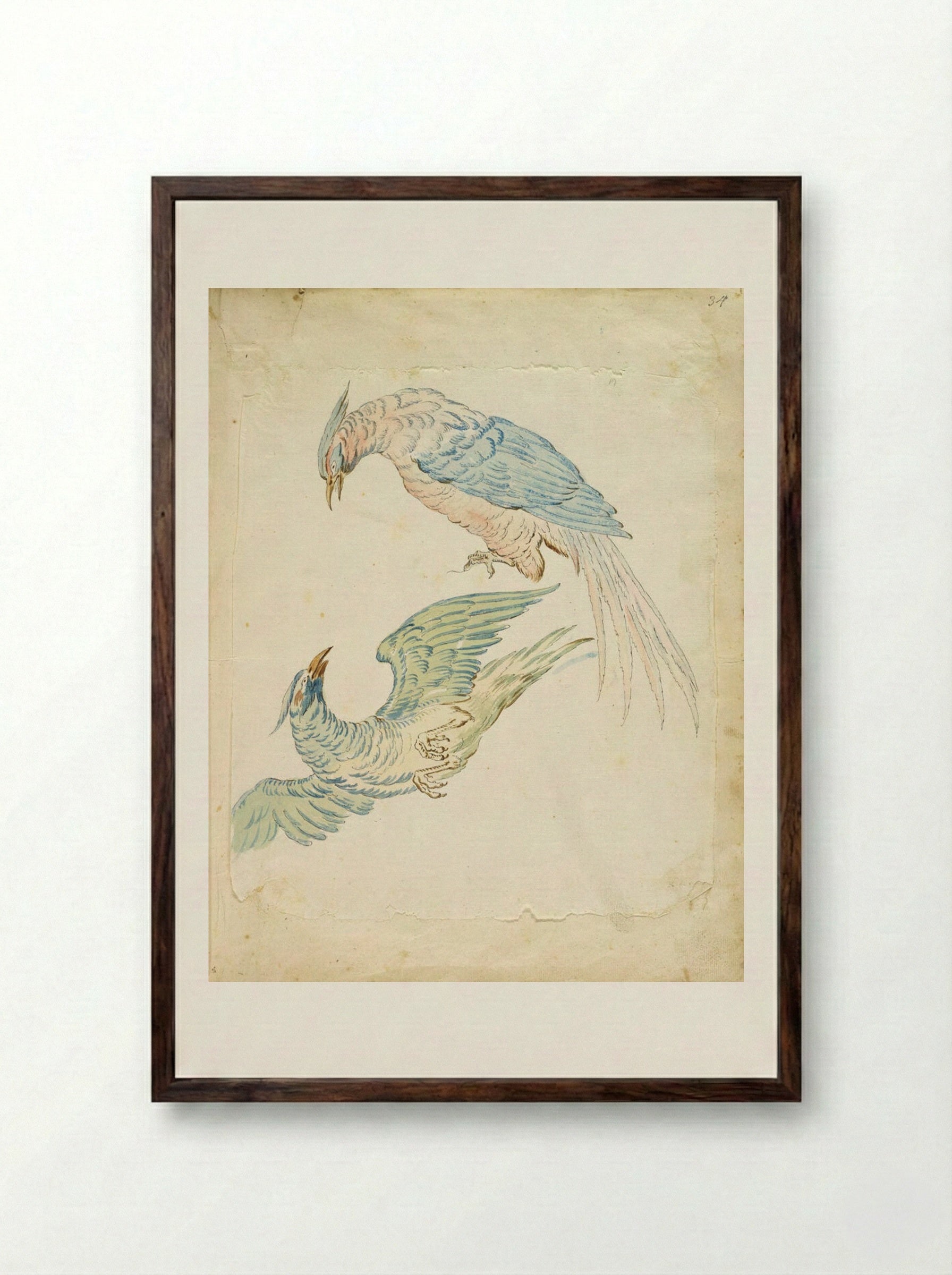Two Birds, One Perched and One in Flight - Jean-Baptiste Oudry - Framed Print Dark Wood
