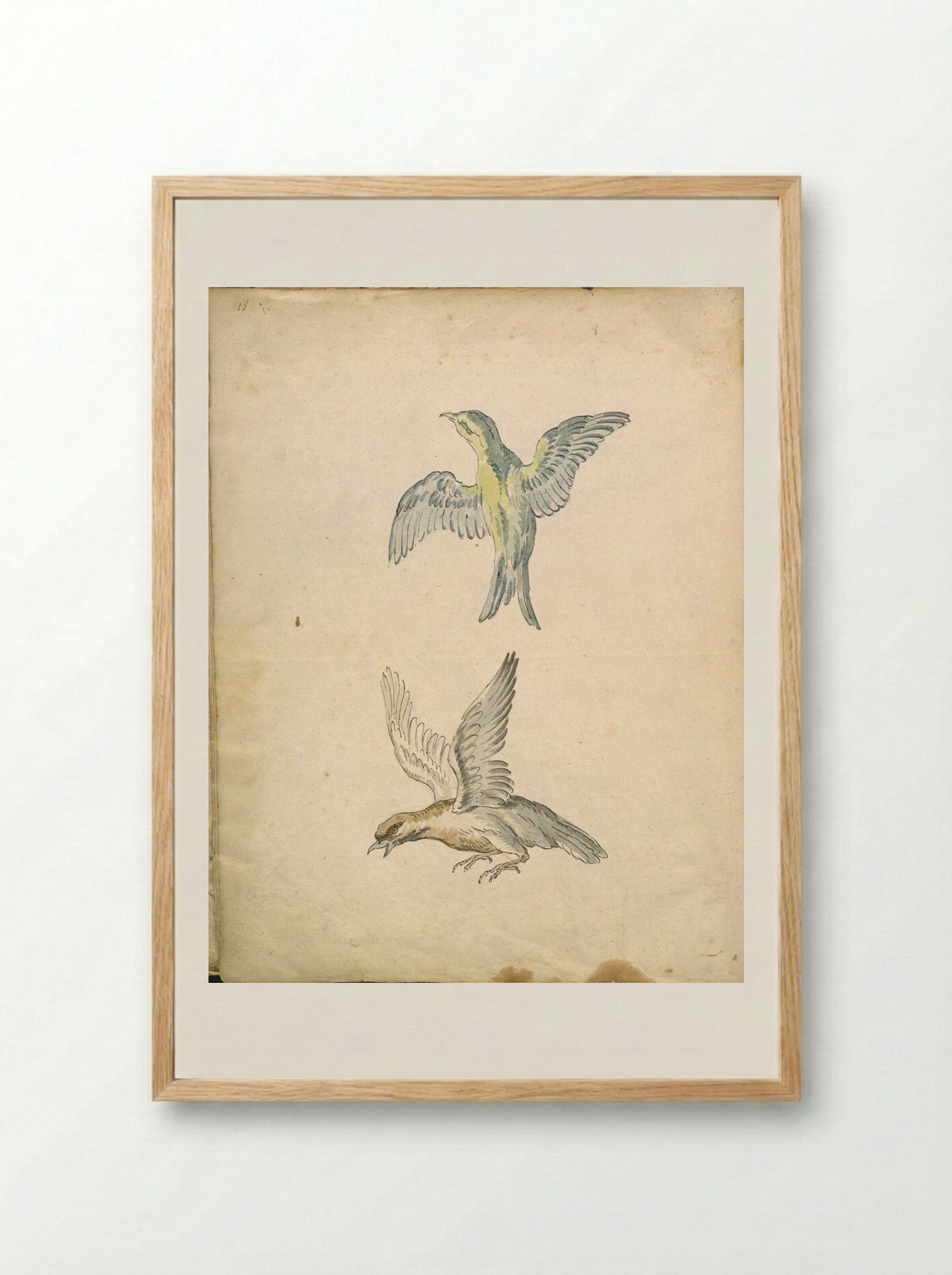 Two Birds in Flight - Jean-Baptiste Oudry - Framed Print Wood