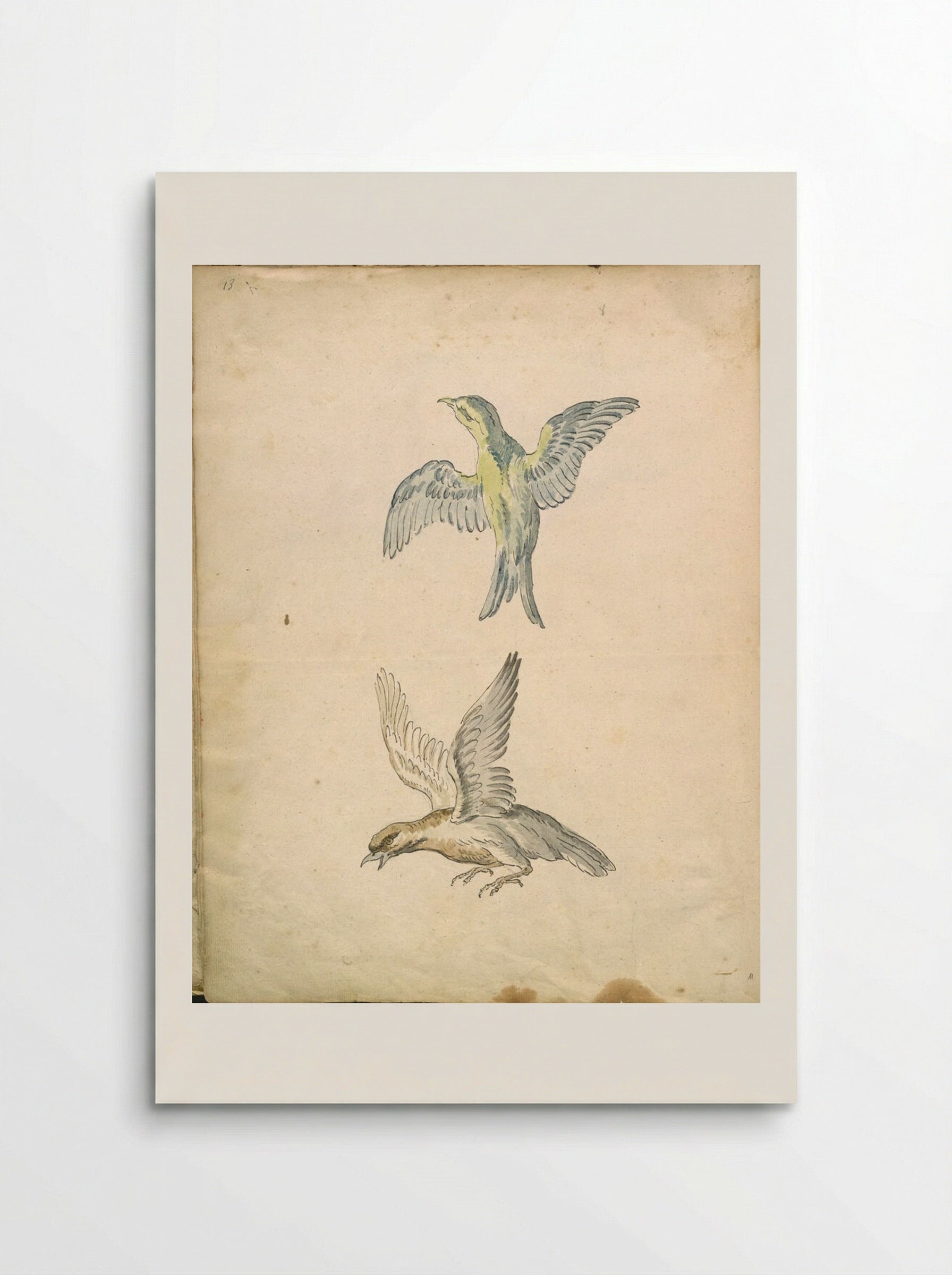Two Birds in Flight - Jean-Baptiste Oudry - Poster