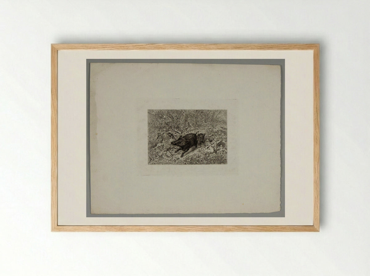 Two Boars - Karl Bodmer - Framed Print Wood