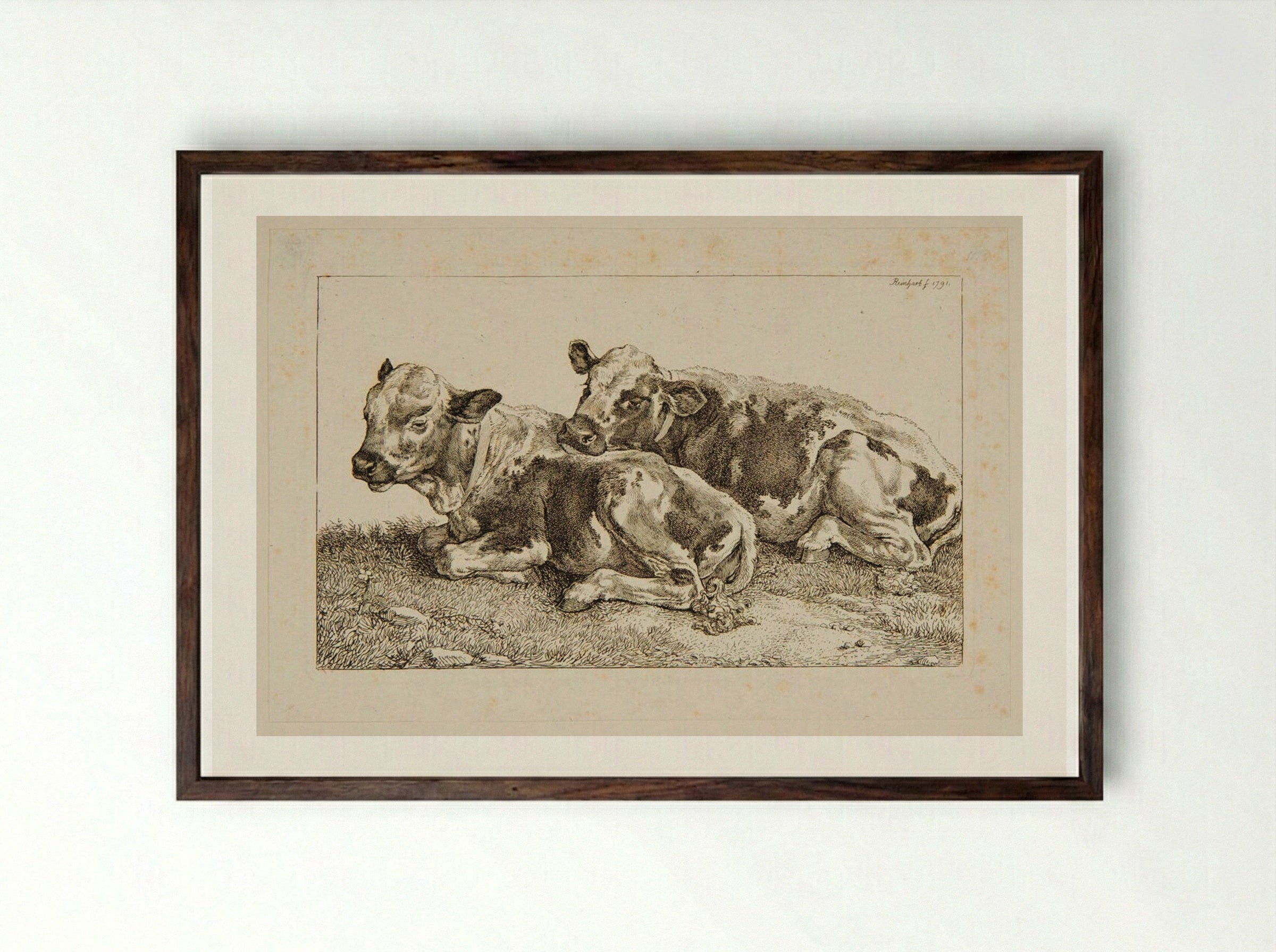 Two Calves - Johann Christian Reinhart - Framed Print Dark Wood