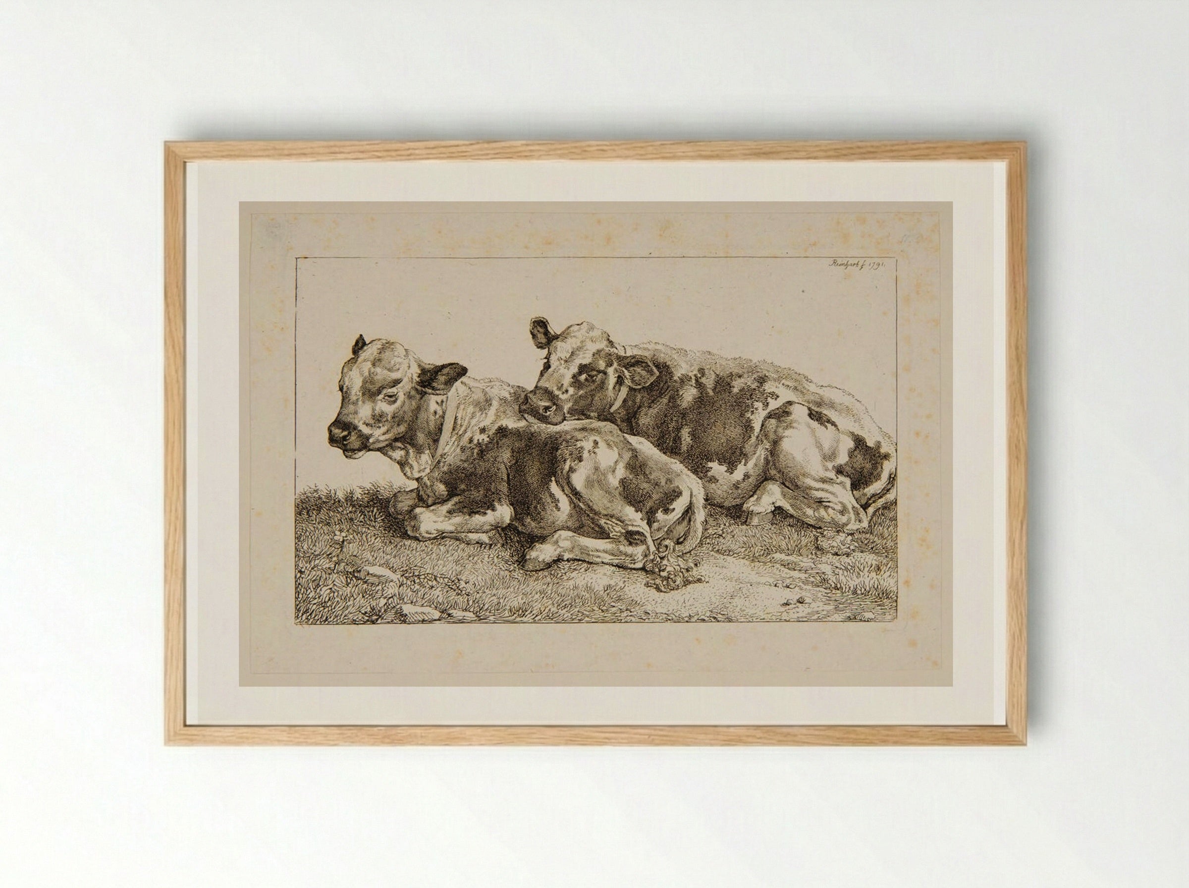 Two Calves - Johann Christian Reinhart - Framed Print Wood
