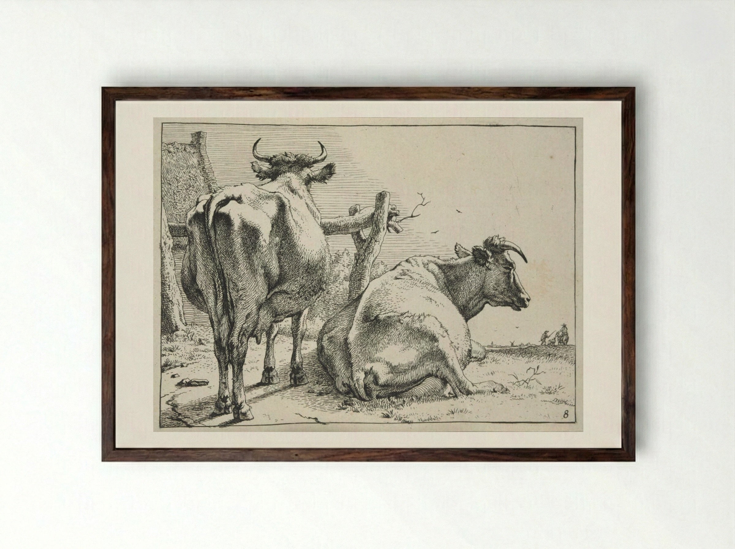 Two Cows Seen from Behind - Paulus Potter - Framed Print Dark Wood