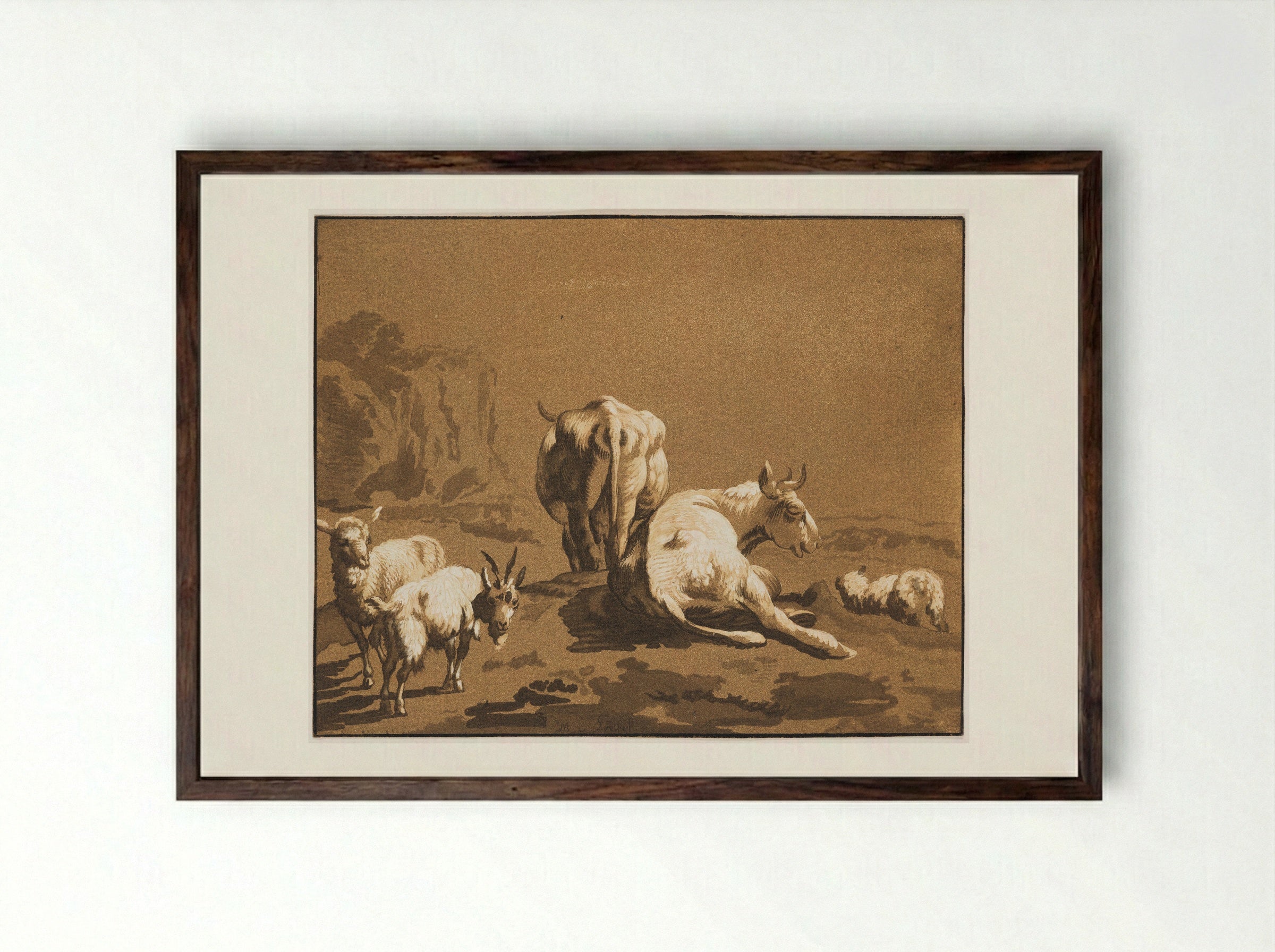 Two Cows, Two Sheep, and a Goat - Maria Catharina Prestel - Framed Print Dark Wood