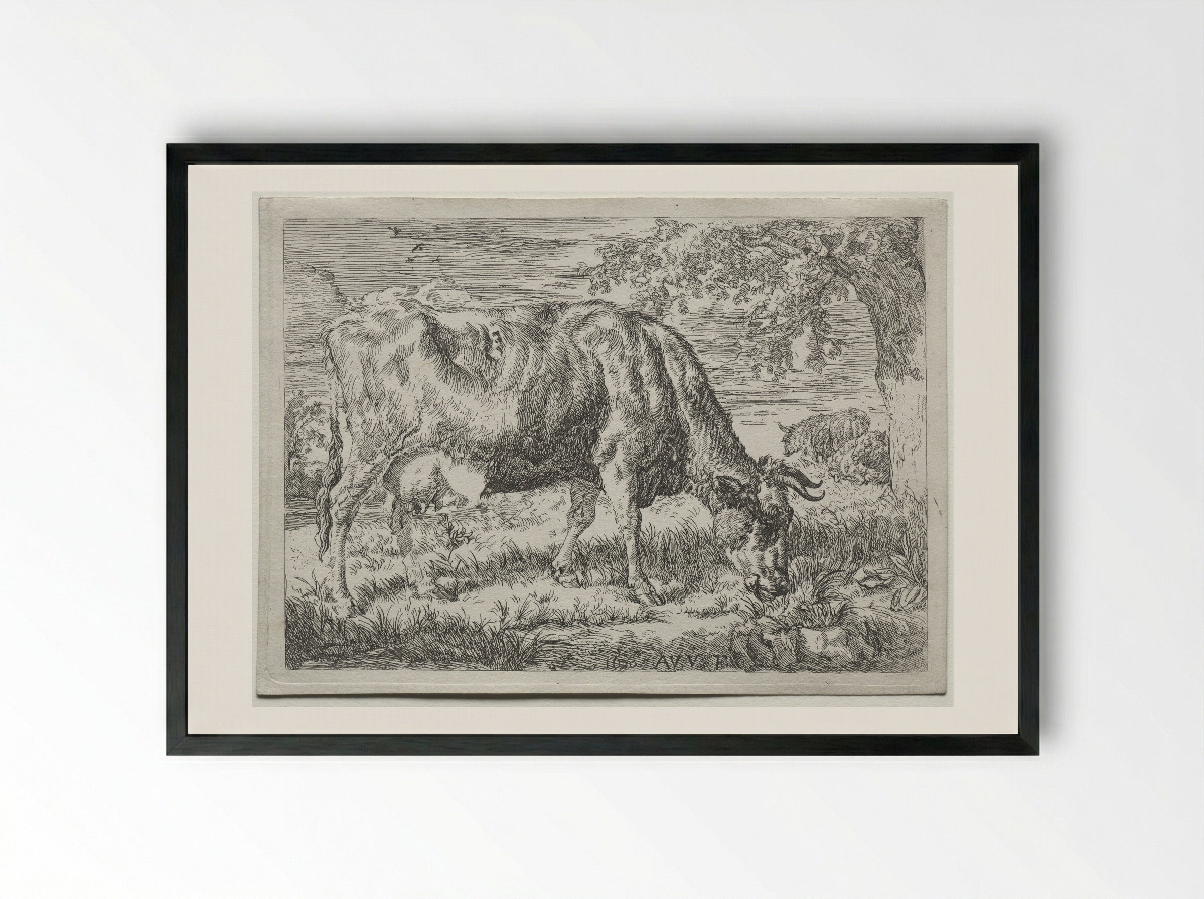 Two Cows Under a Tree - Adriaen van de Velde - Framed Print Black