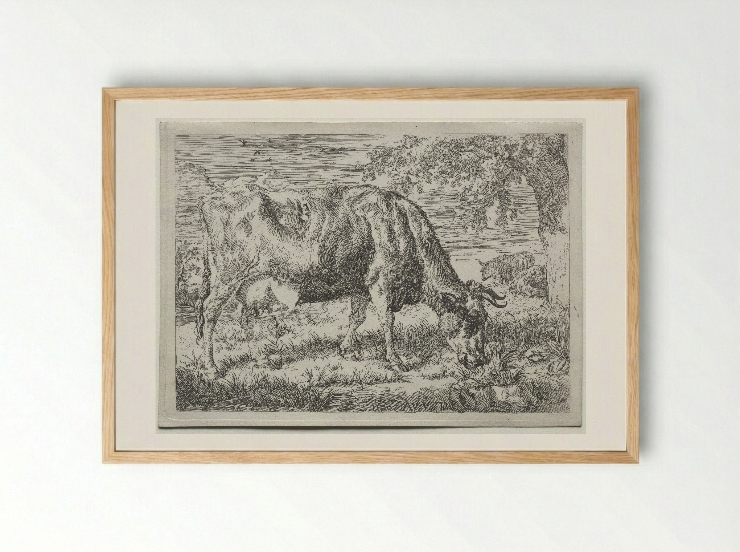 Two Cows Under a Tree - Adriaen van de Velde - Framed Print Wood