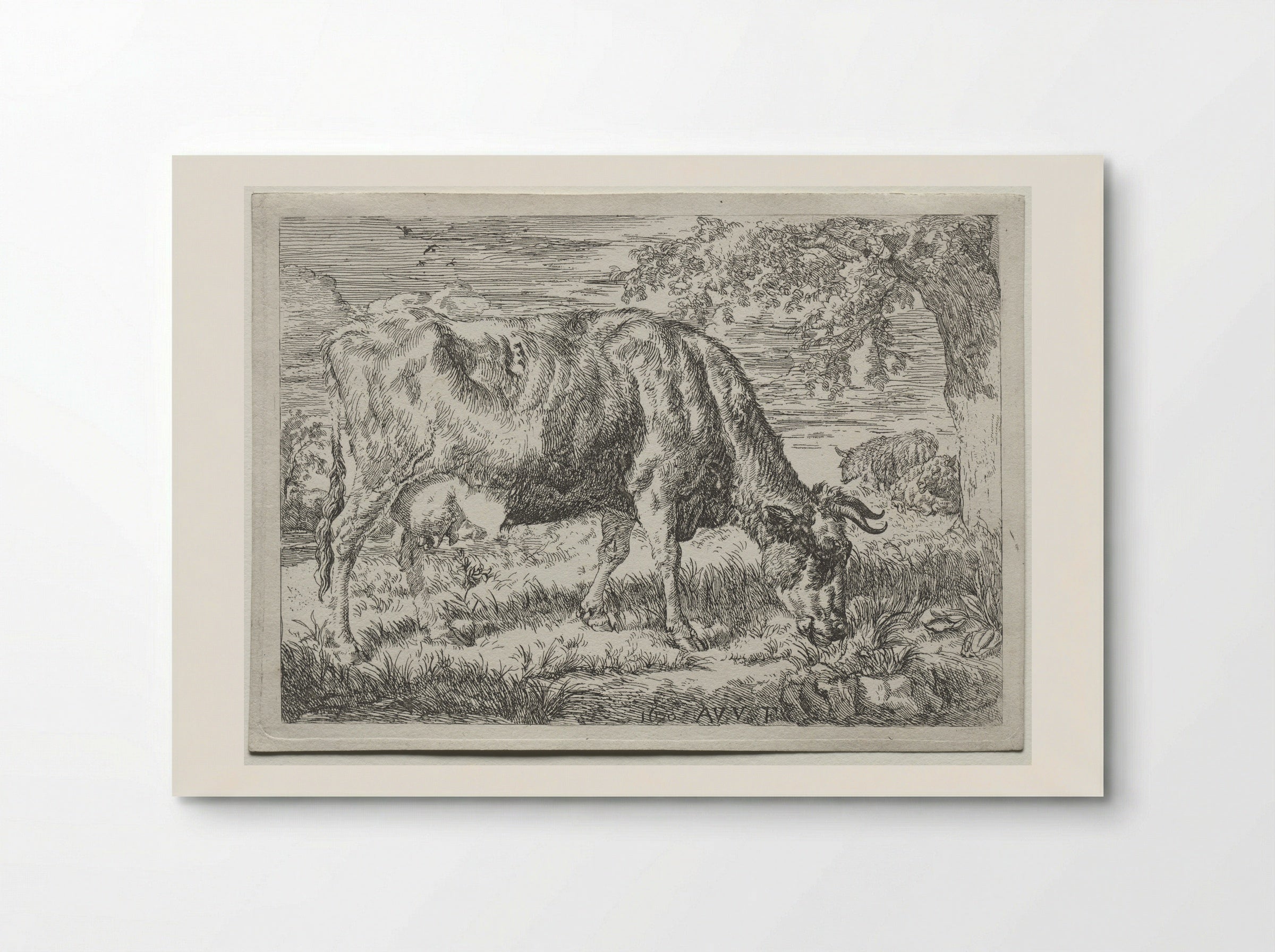 Two Cows Under a Tree - Adriaen van de Velde - Poster
