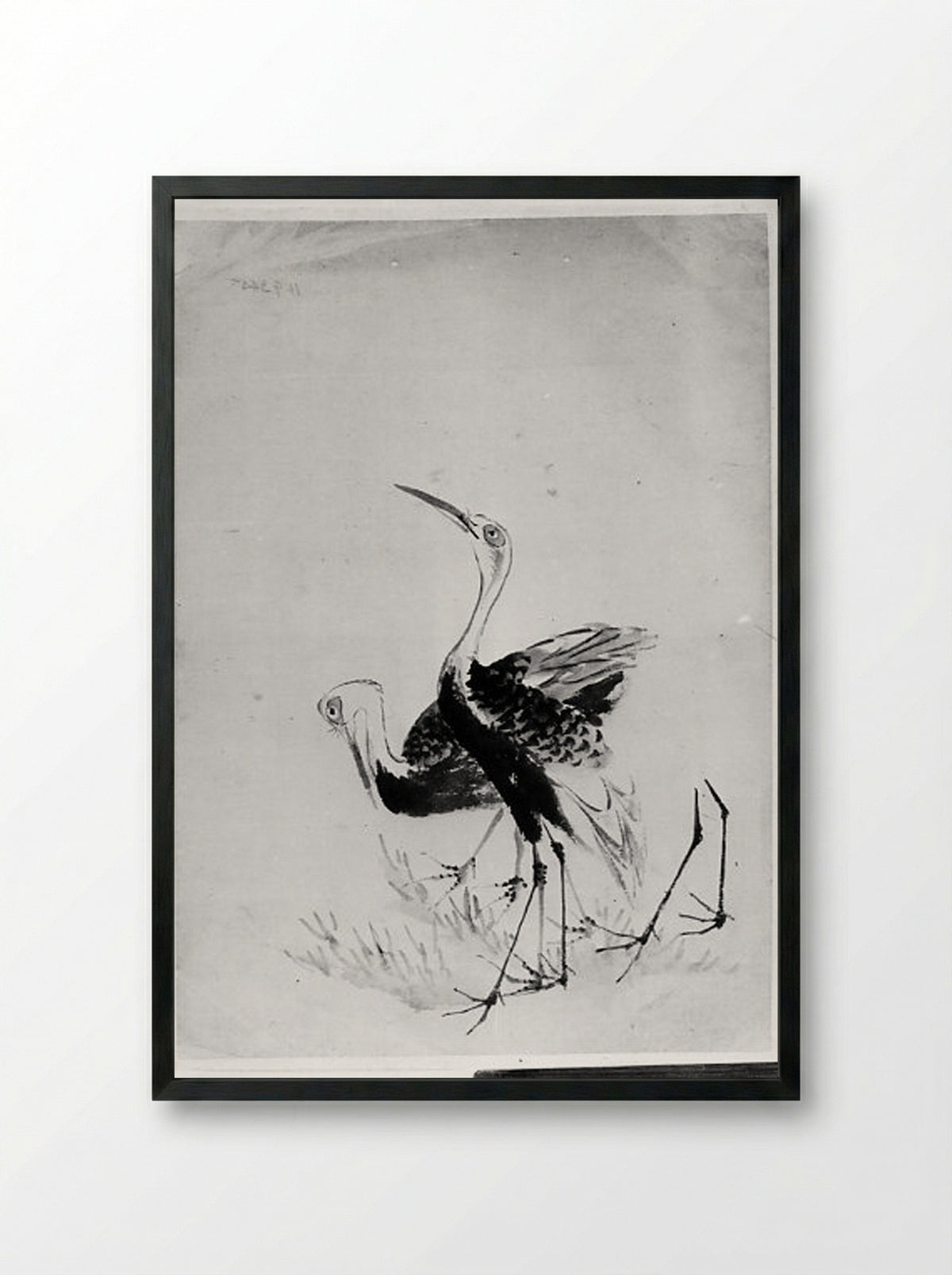Two Cranes (Ink Wash Drawing) - Hokusai School - Framed Print Black