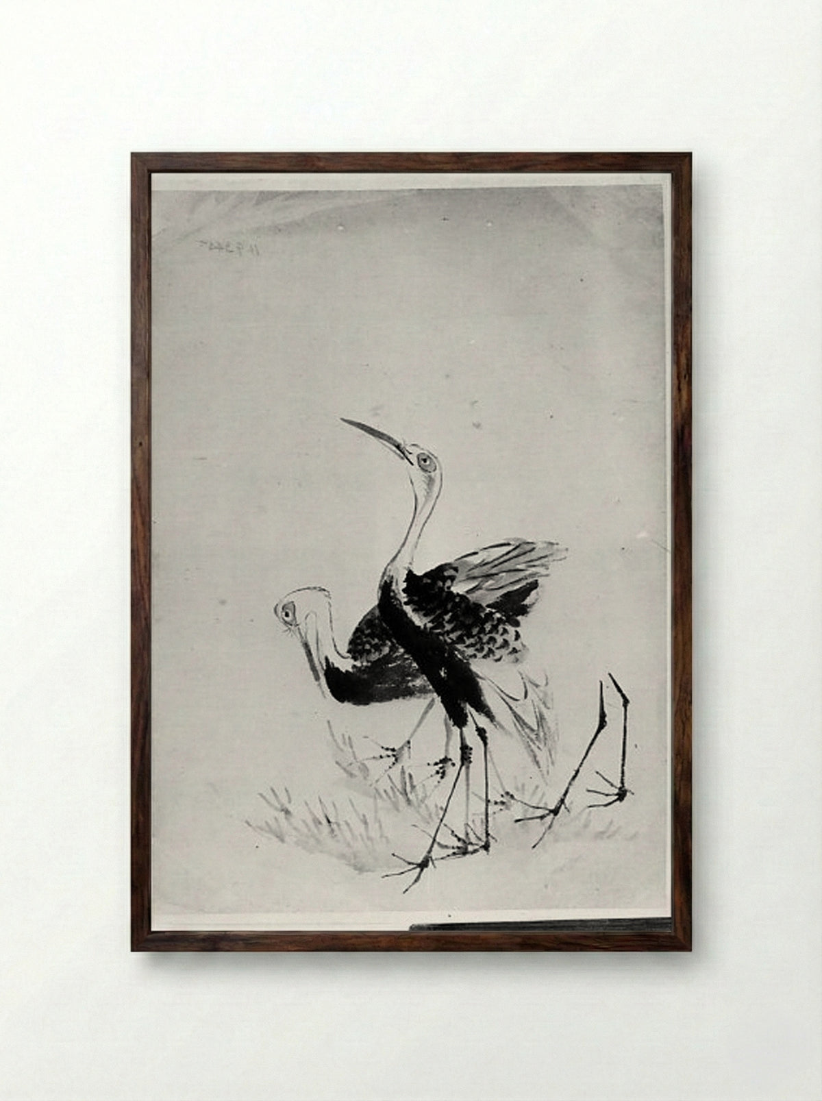 Two Cranes (Ink Wash Drawing) - Hokusai School - Framed Print Dark Wood