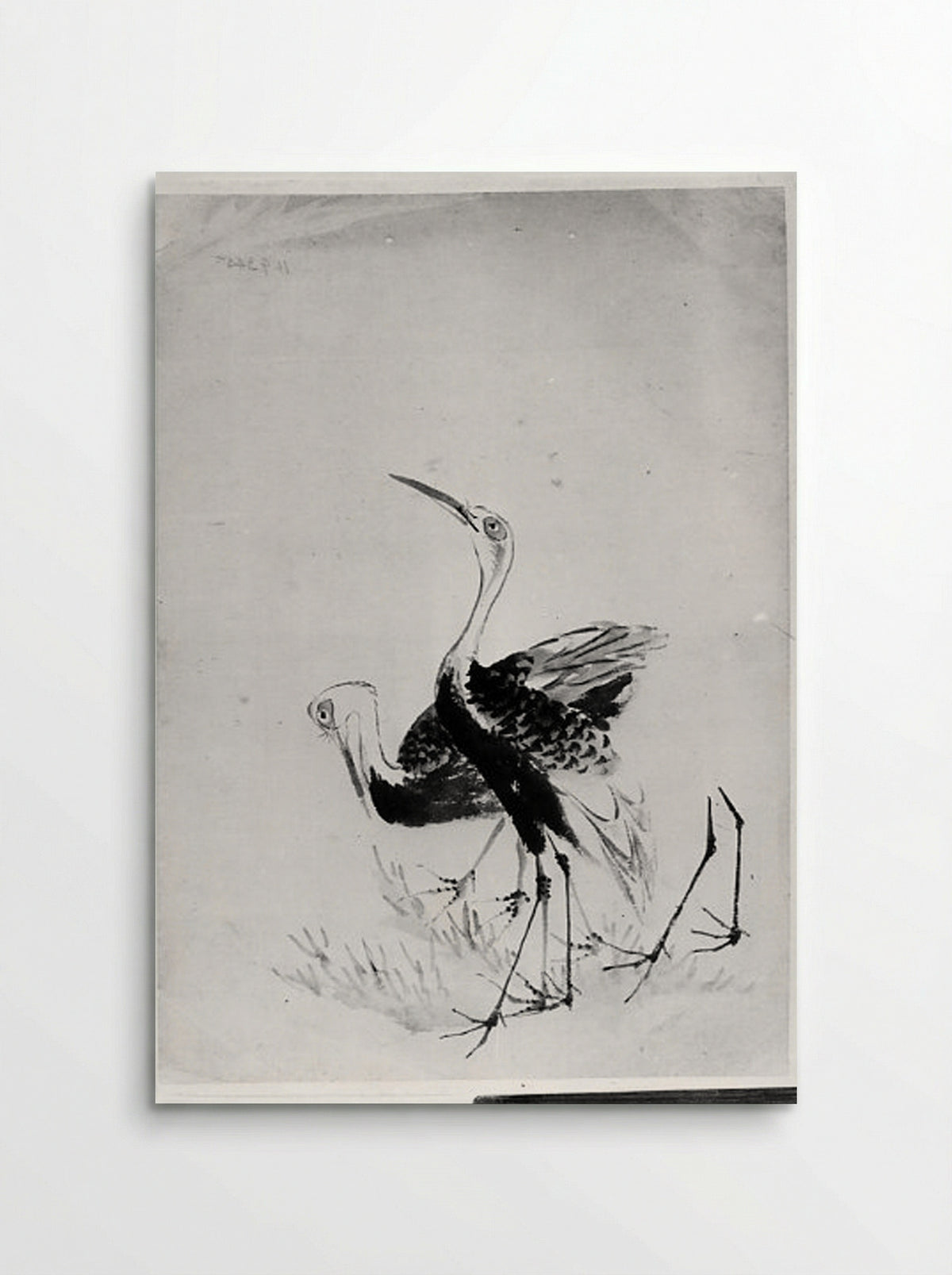 Two Cranes (Ink Wash Drawing) - Hokusai School - Poster