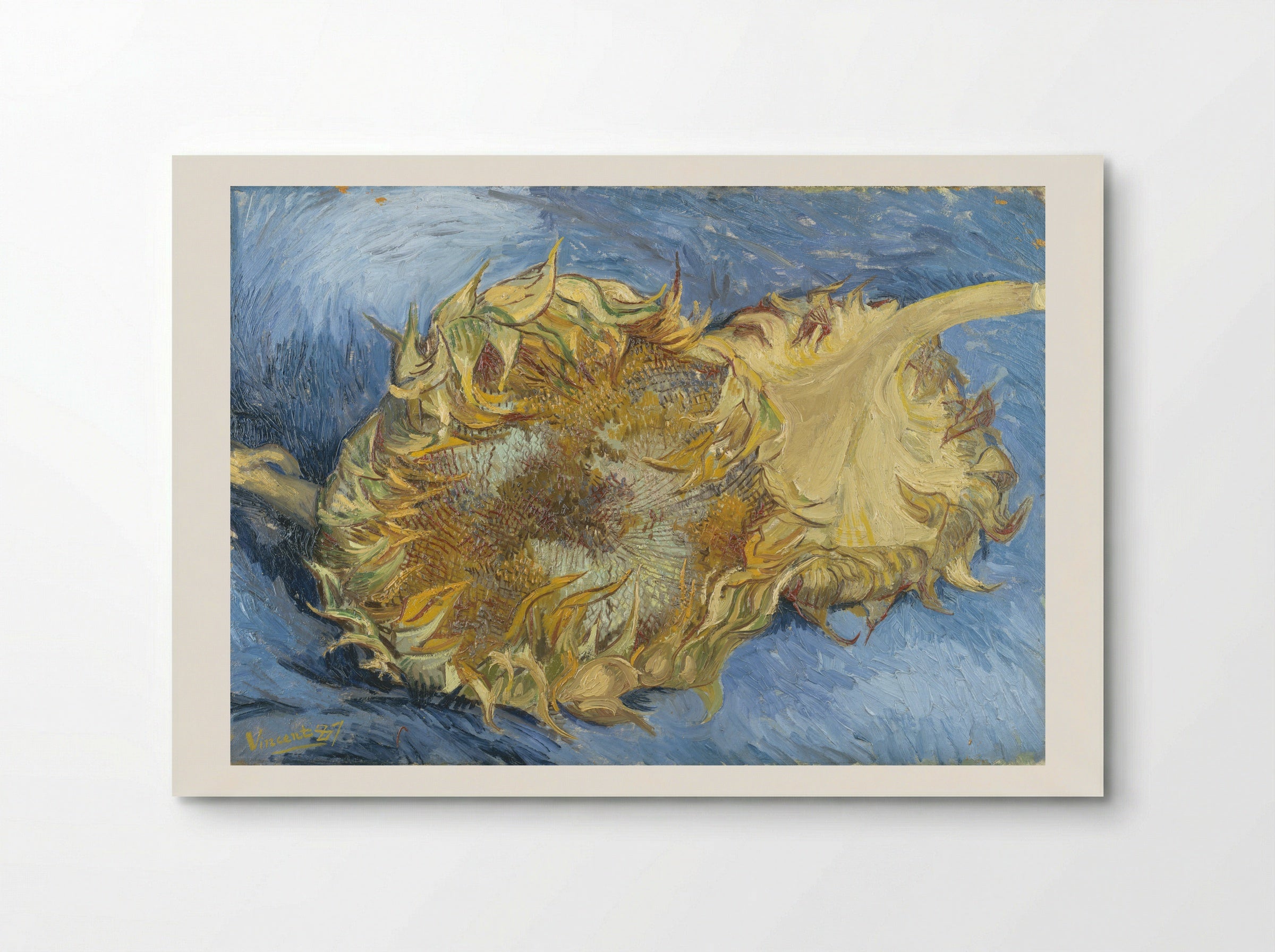Two Cut Sunflowers - Vincent van Gogh - Poster