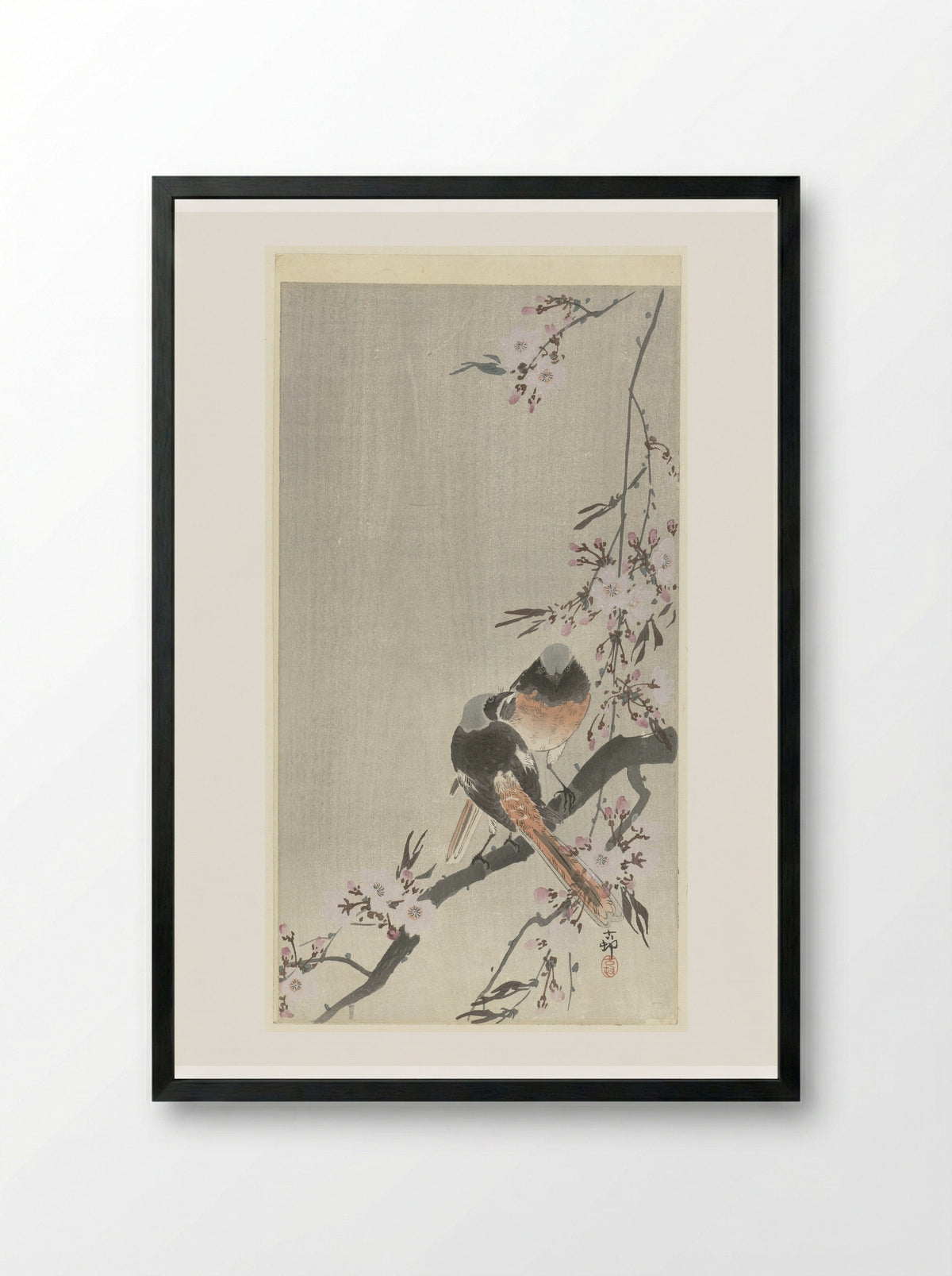 Two Daurian Redstarts with Cherry Blossoms - Matsuki Heikichi - Framed Print Black