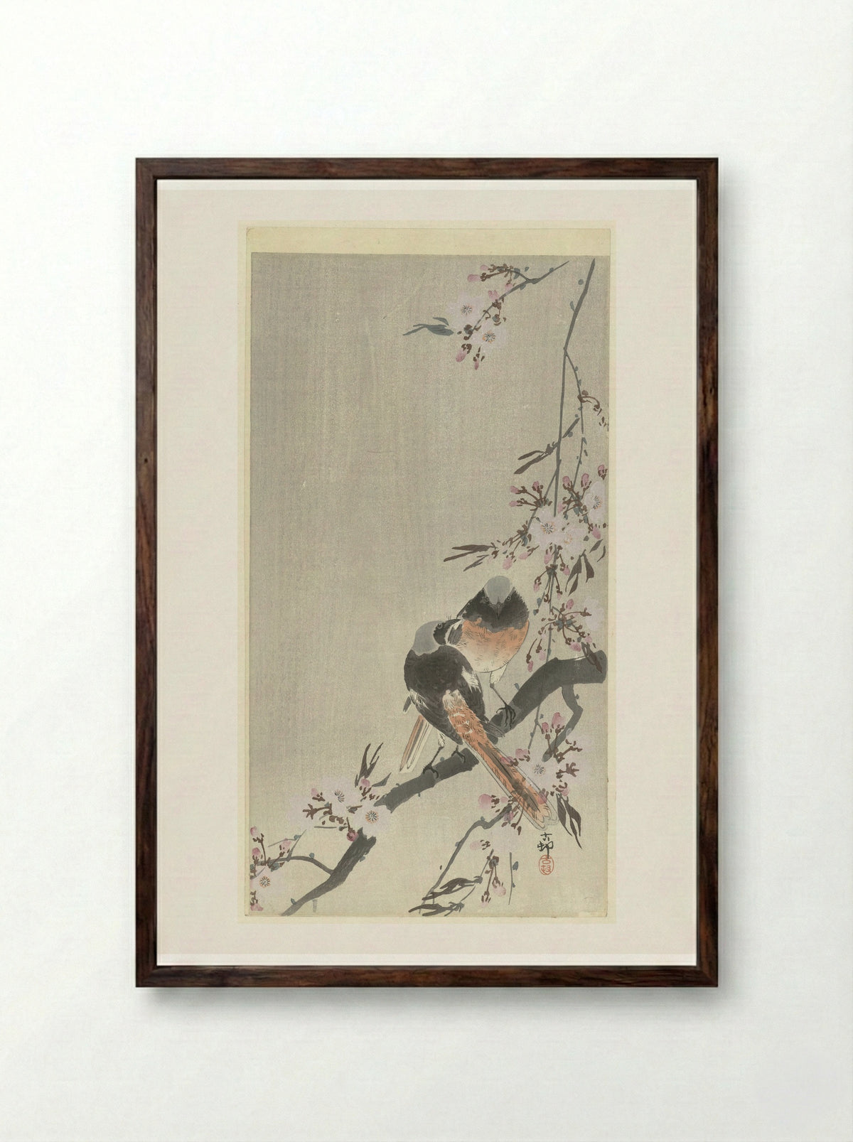 Two Daurian Redstarts with Cherry Blossoms - Matsuki Heikichi - Framed Print Dark Wood
