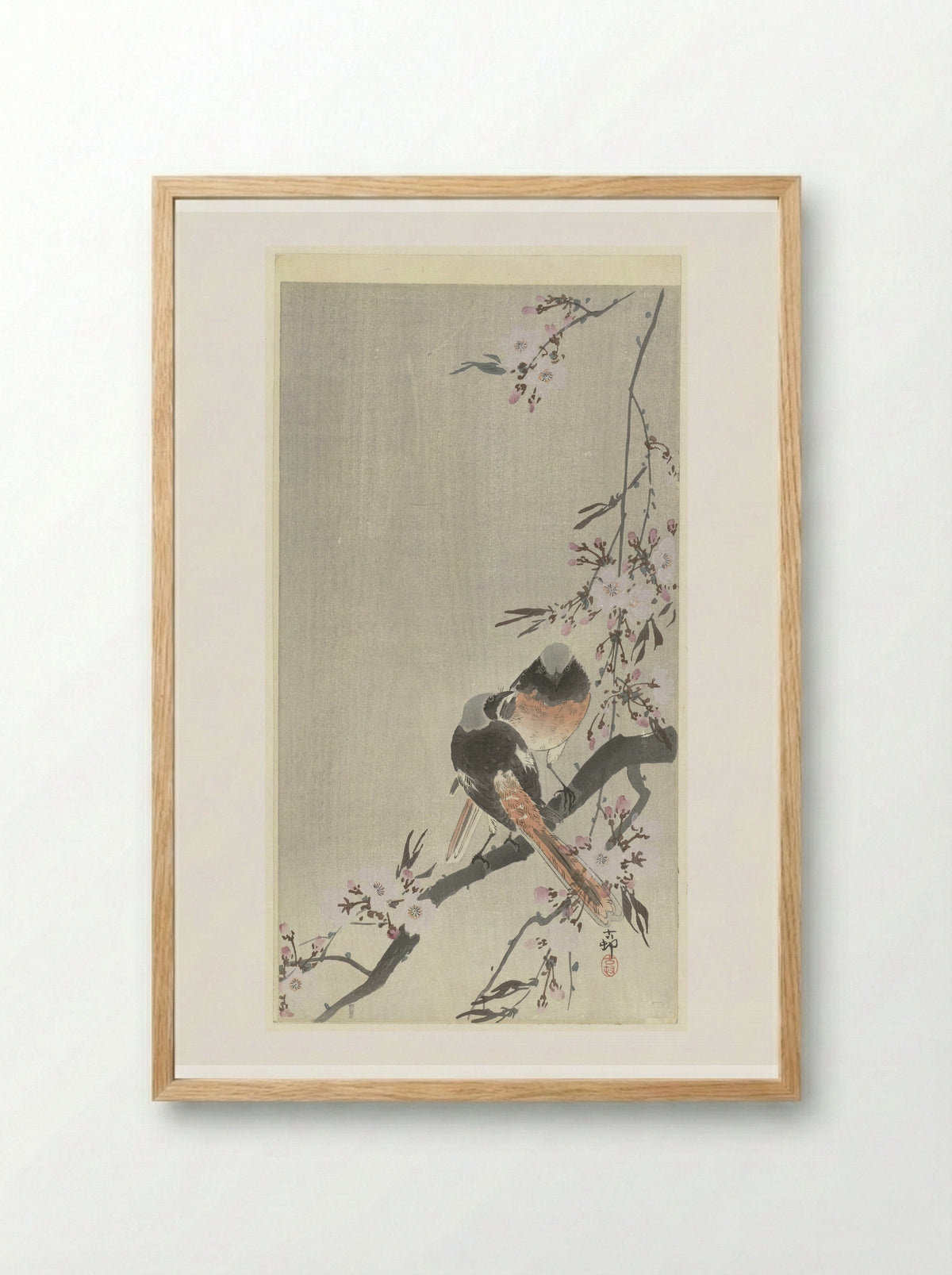 Two Daurian Redstarts with Cherry Blossoms - Matsuki Heikichi - Framed Print Wood