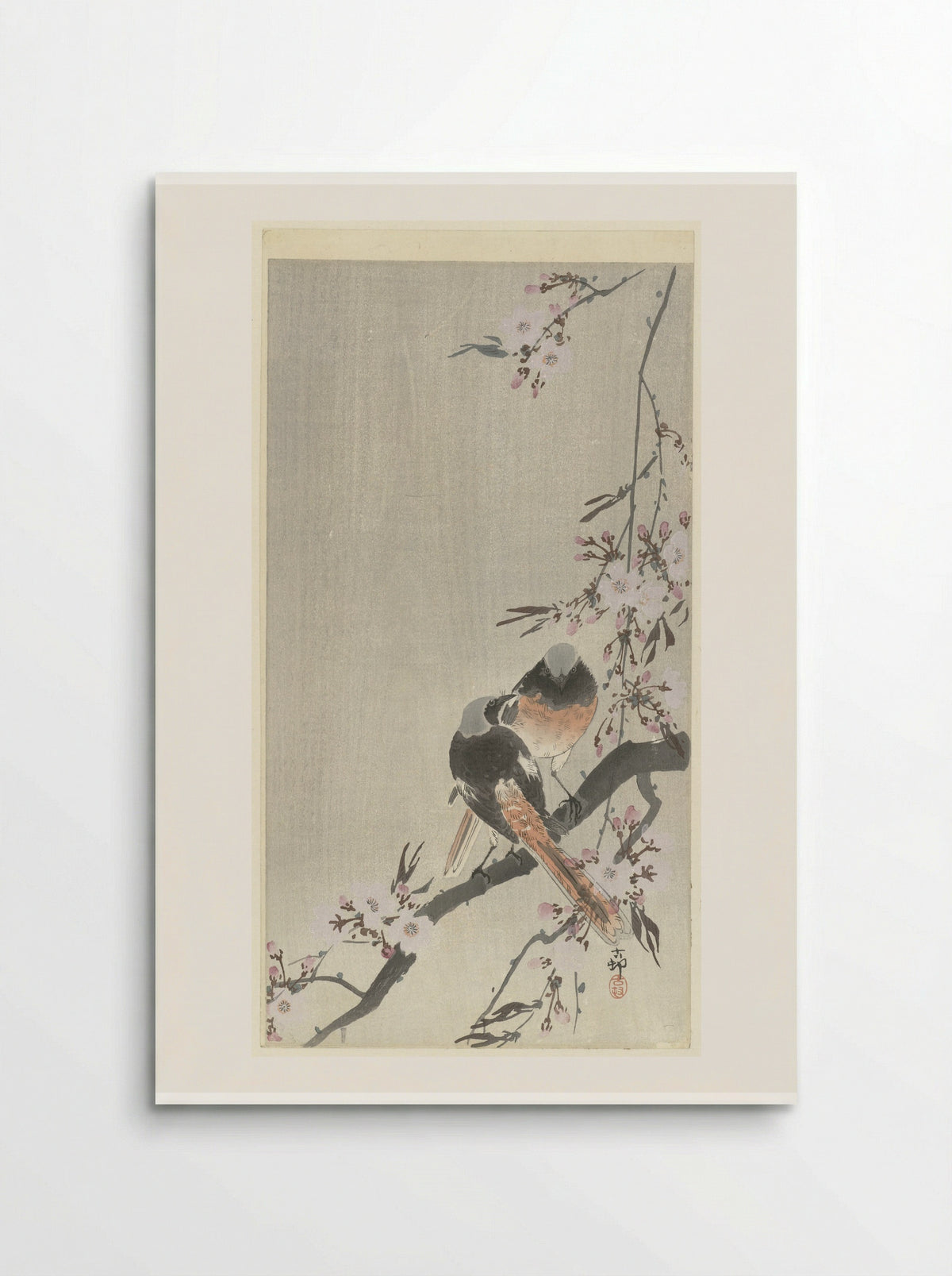 Two Daurian Redstarts with Cherry Blossoms - Matsuki Heikichi - Poster