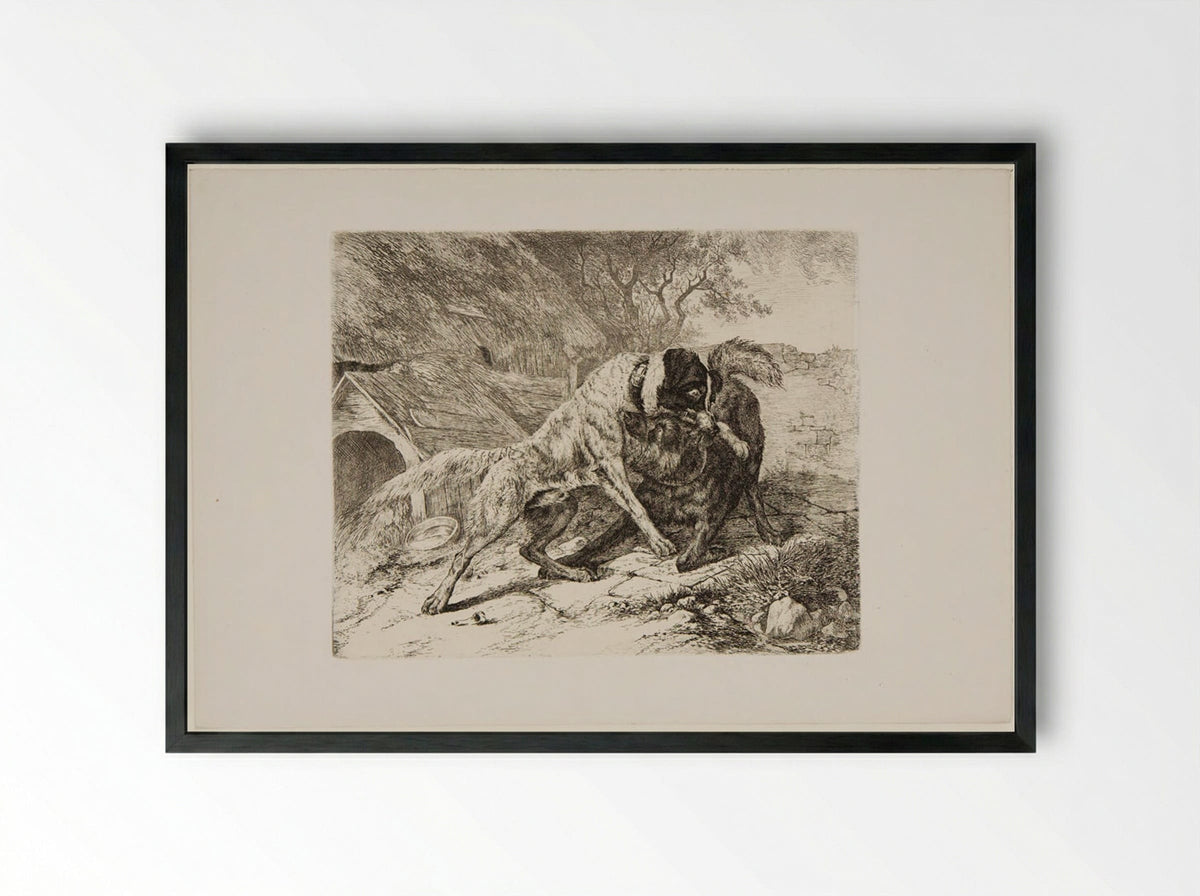 Two Dogs Fighting - Friedrich Anton Wolff - Framed Print Black
