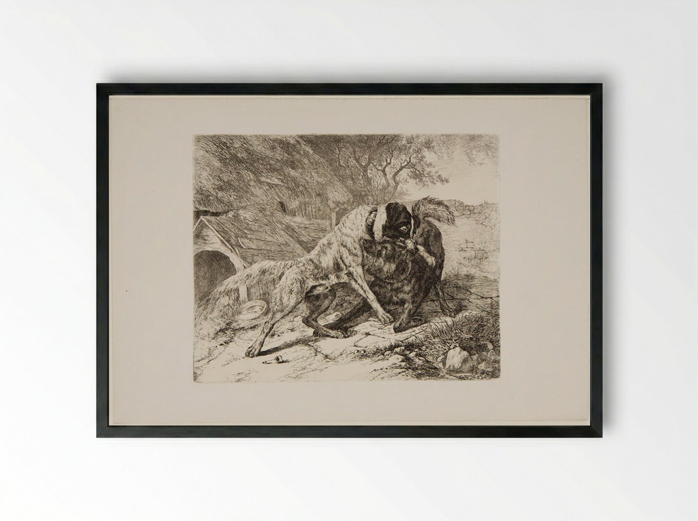 Two Dogs Fighting - Friedrich Anton Wolff - Framed Print Black