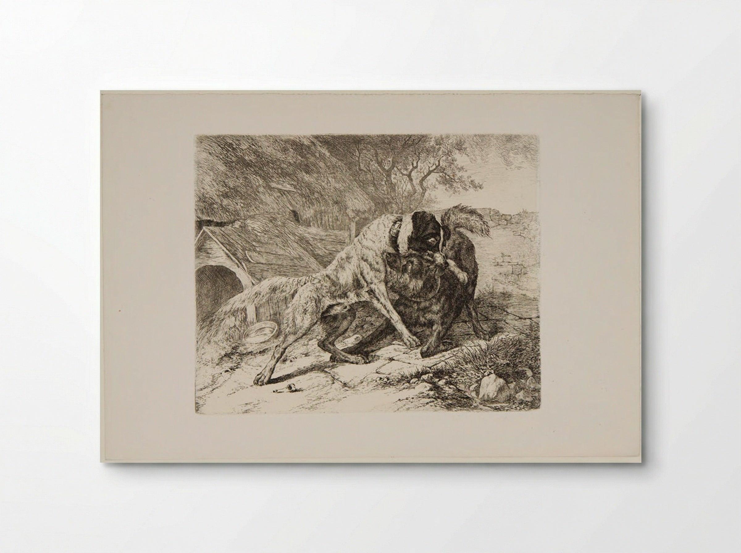 Two Dogs Fighting - Friedrich Anton Wolff - Poster