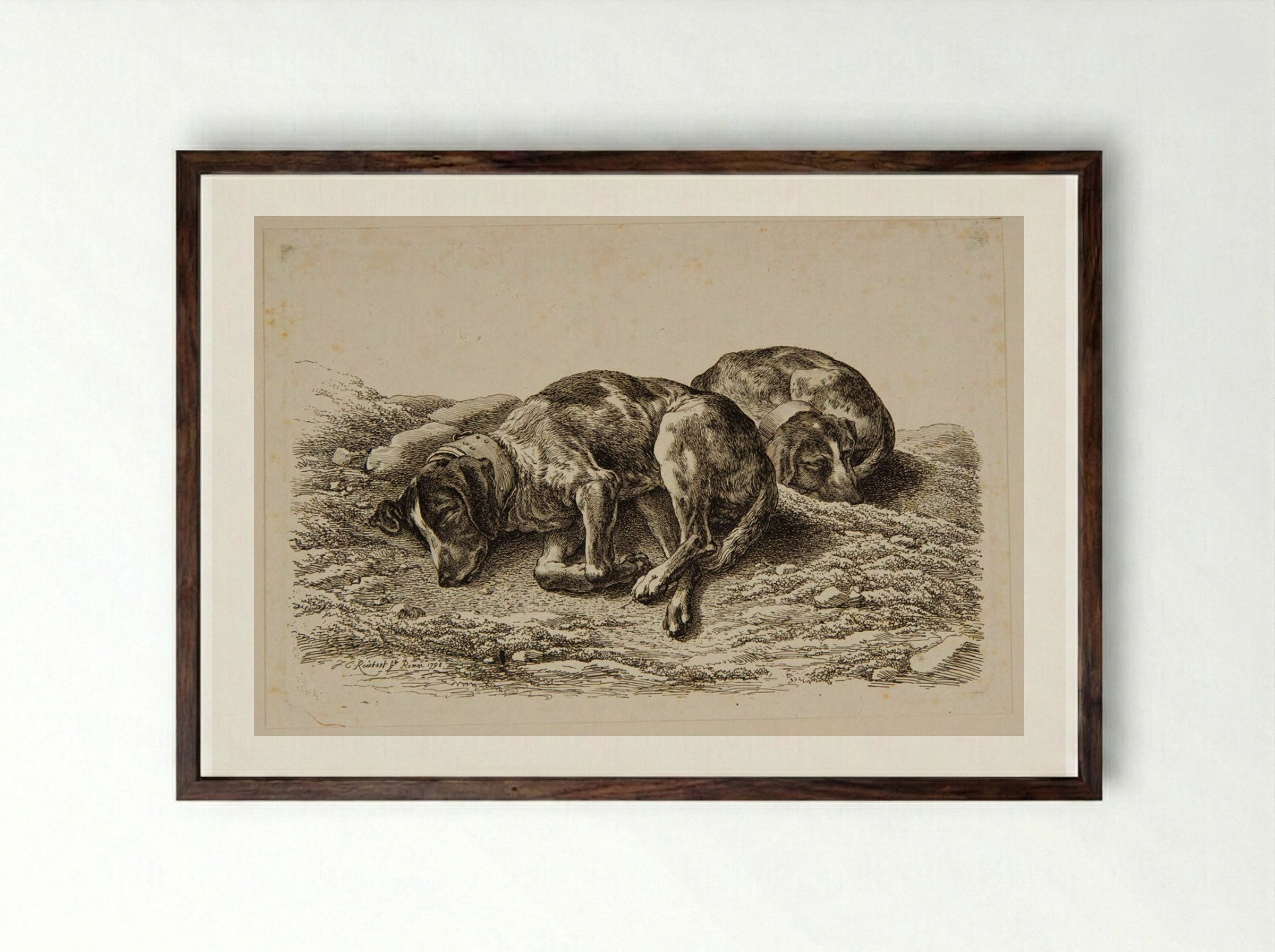 Two Dogs Sleeping - Johann Christian Reinhart - Framed Print Dark Wood