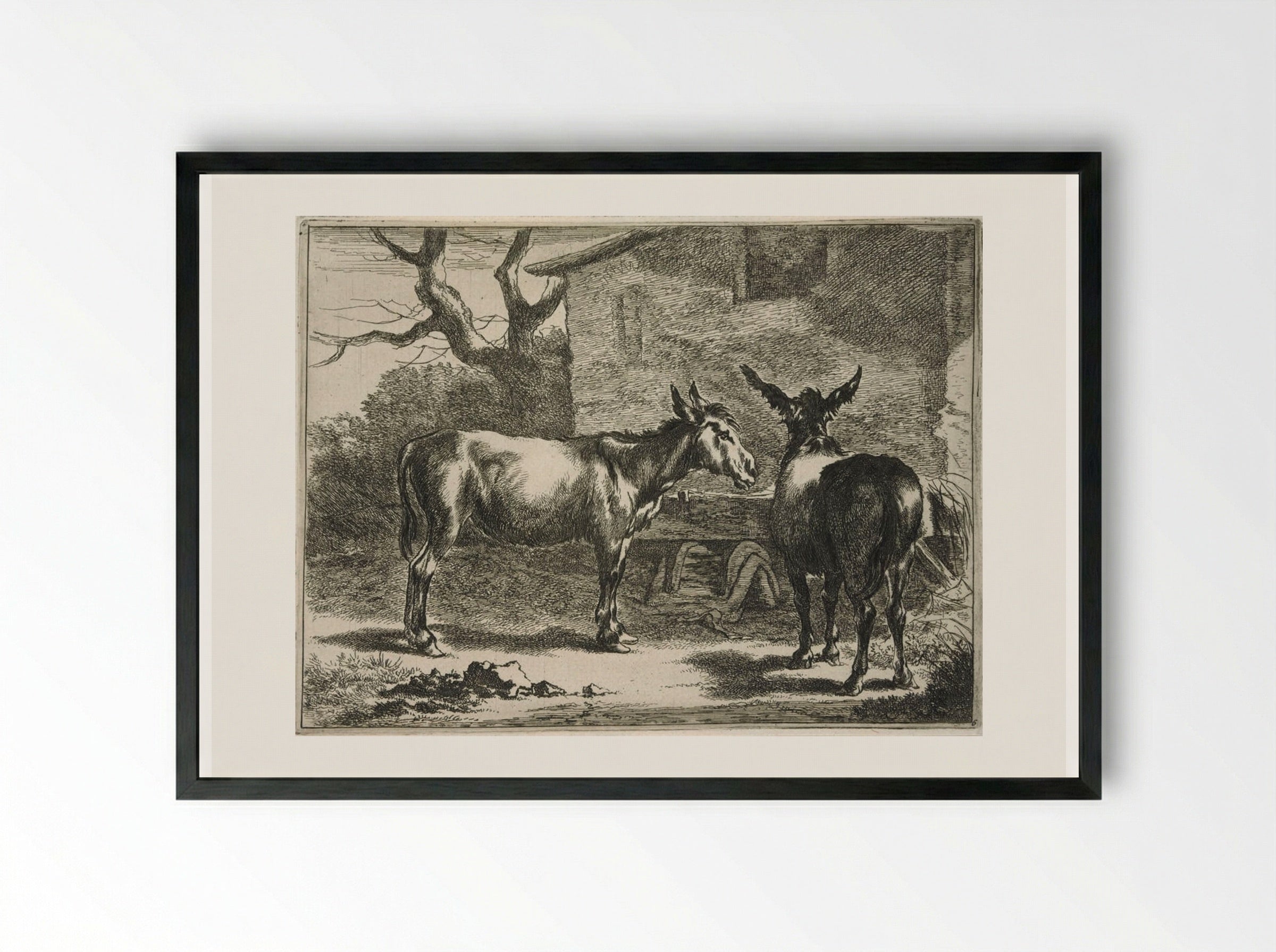 Two Donkeys at a Trough - Johannes Visscher - Framed Print Black