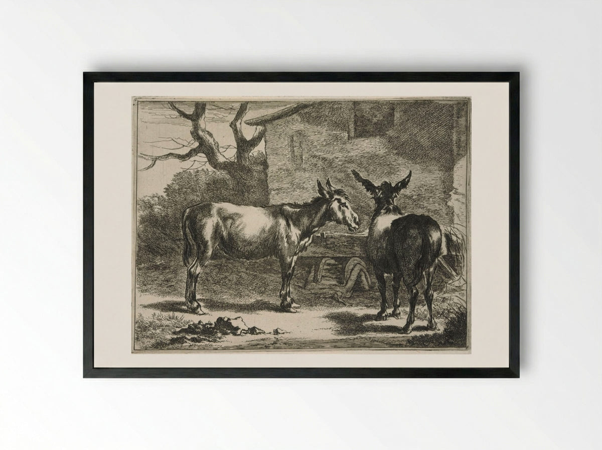 Two Donkeys at a Trough - Johannes Visscher - Framed Print Black