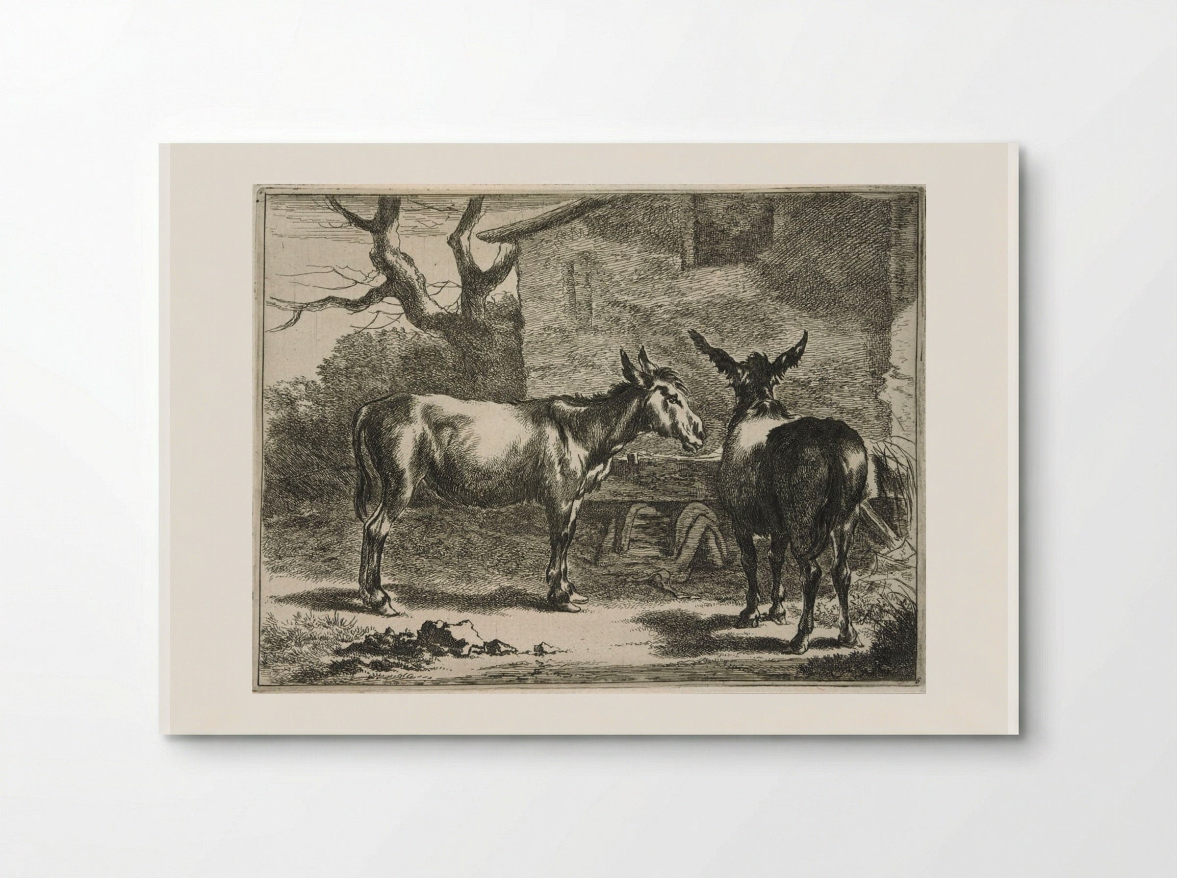 Two Donkeys at a Trough - Johannes Visscher - Poster