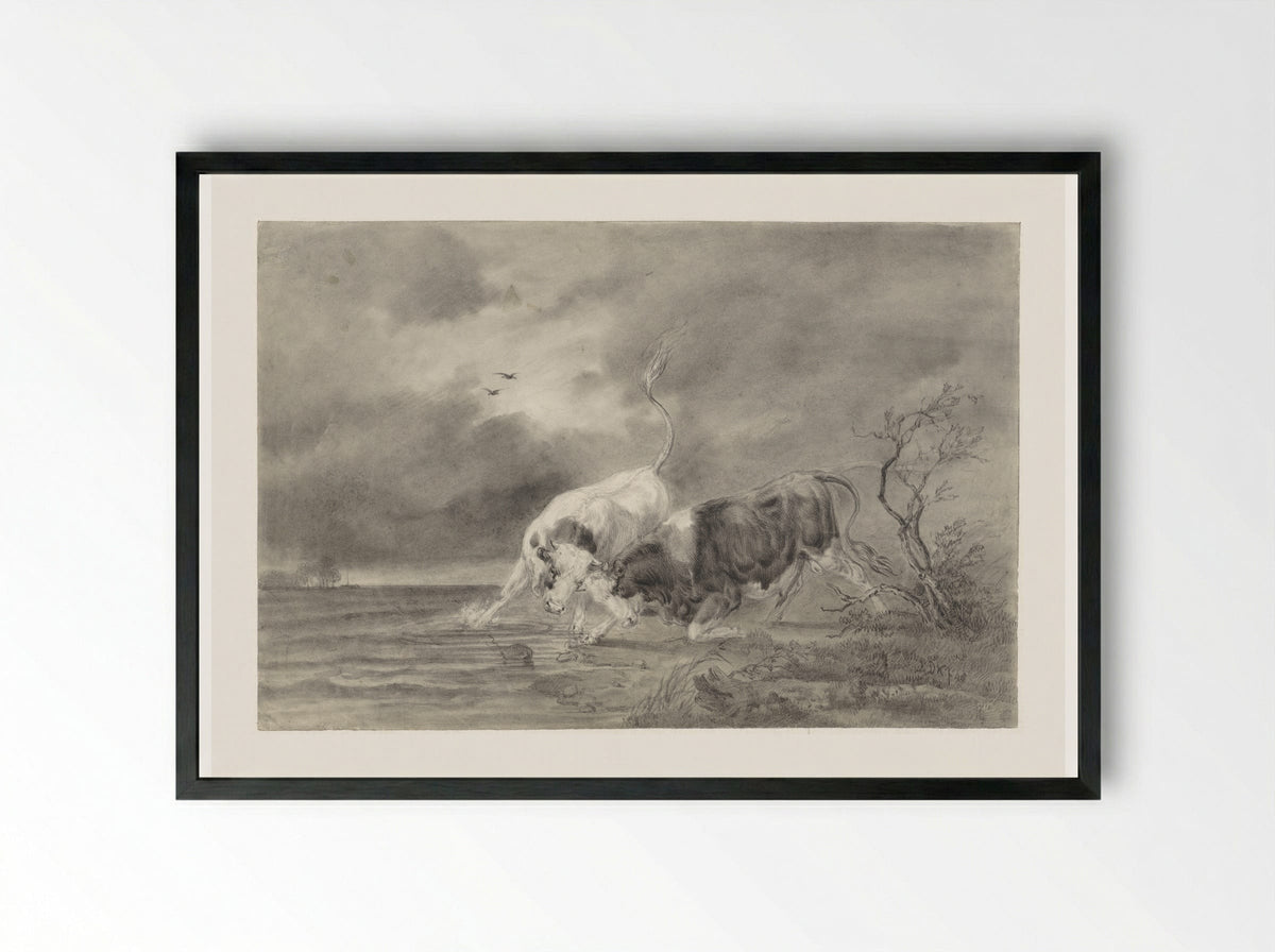 Two Fighting Bulls in a River Landscape - Johan Daniël Koelman - Framed Print Black