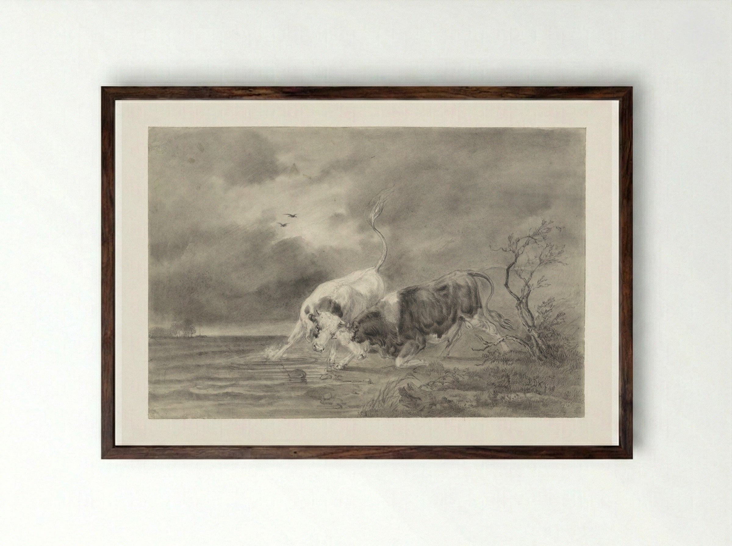 Two Fighting Bulls in a River Landscape - Johan Daniël Koelman - Framed Print Dark Wood