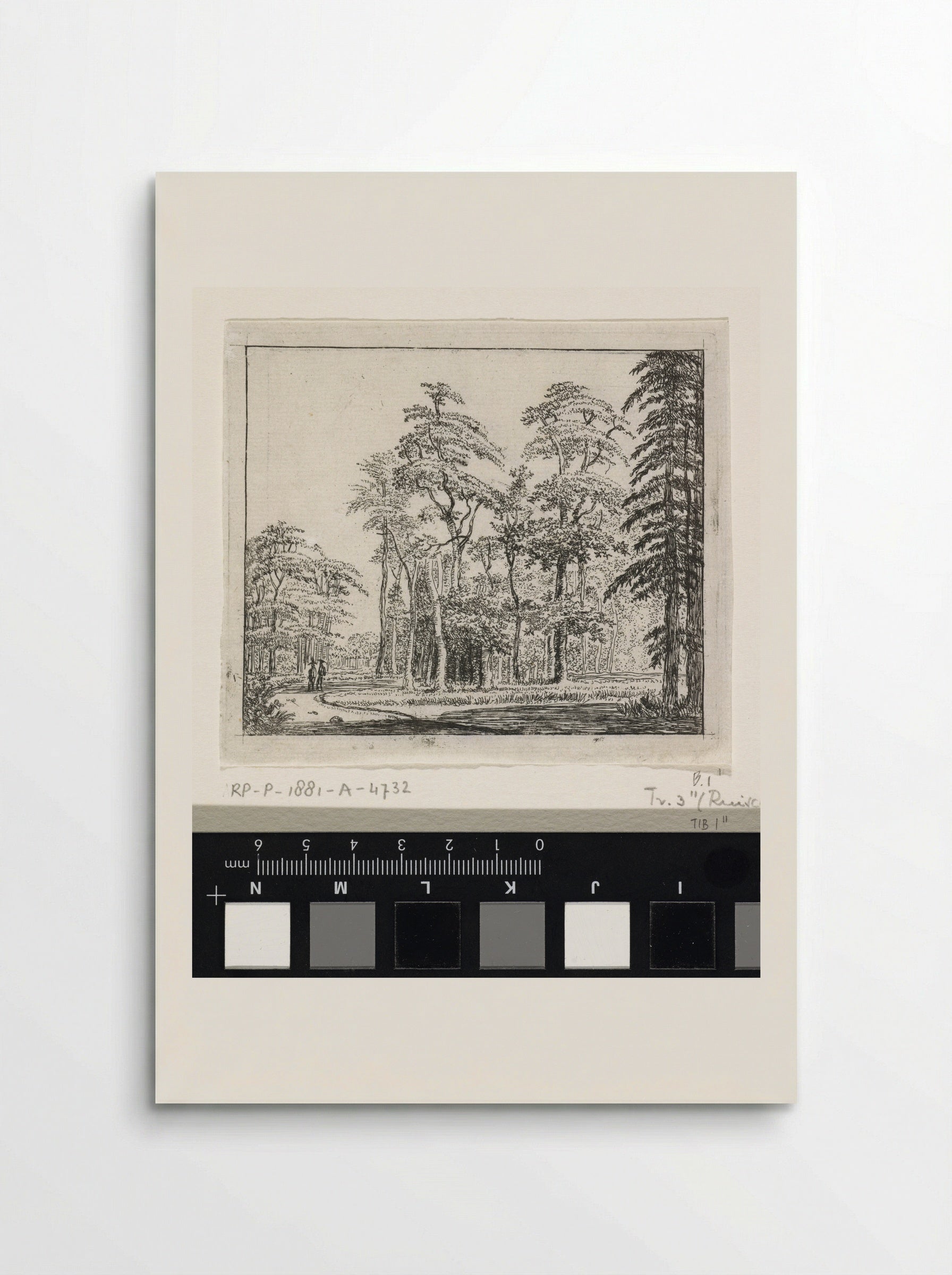 Two Figures on a Winding Path in a Wood - Jan Ruyscher - Poster
