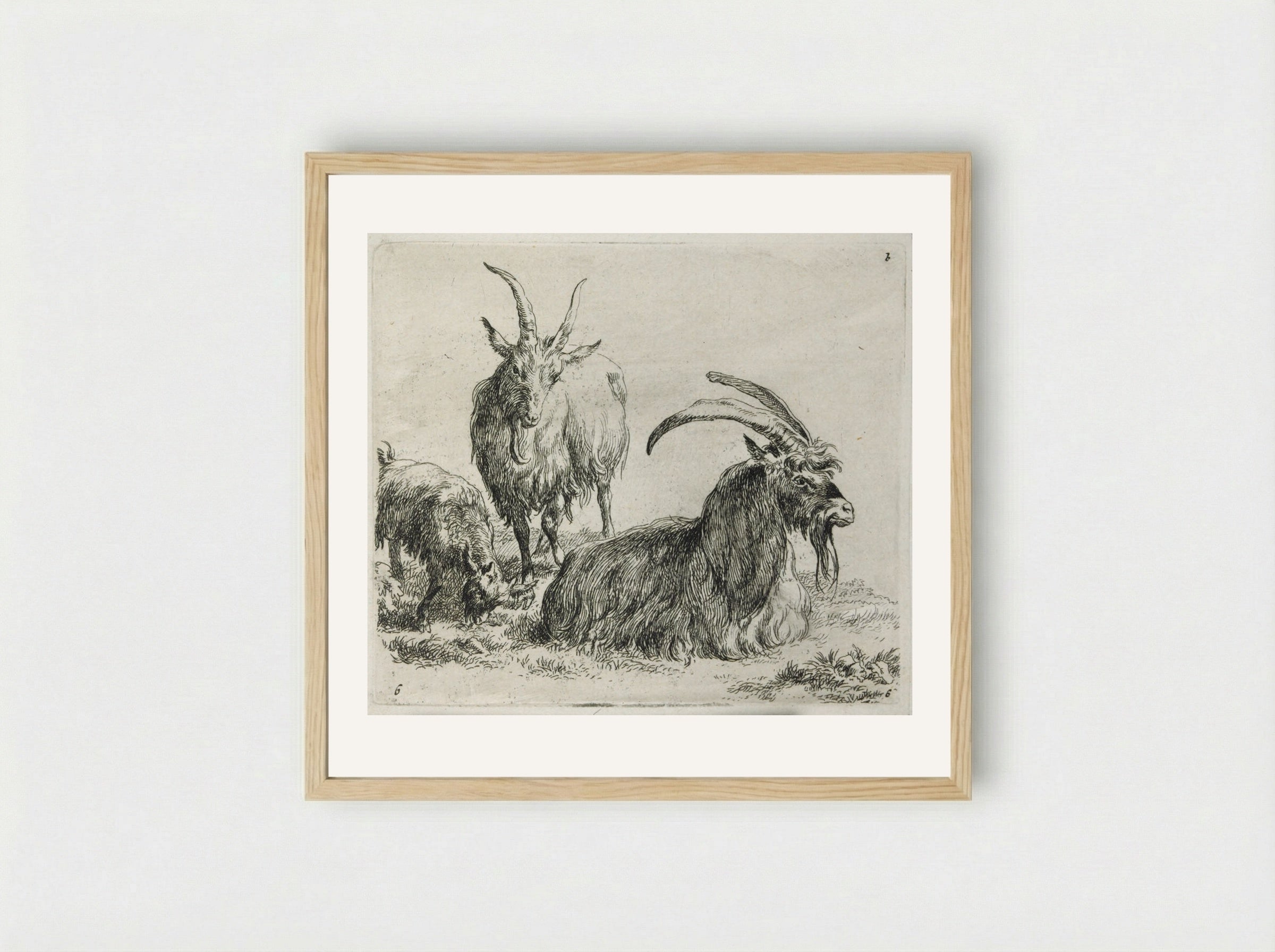 Two Goats and a Kid - Nicolaes Berchem - Framed Print Wood