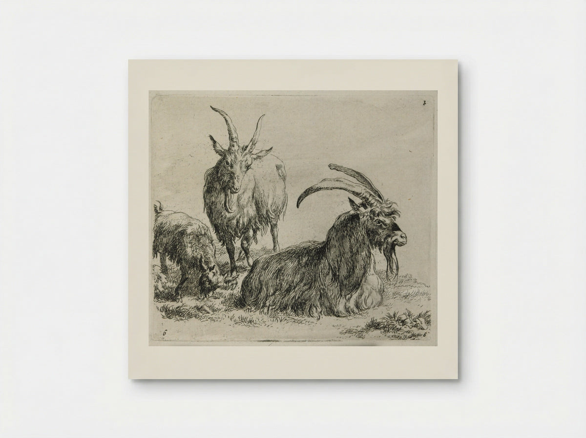 Two Goats and a Kid - Nicolaes Berchem - Poster