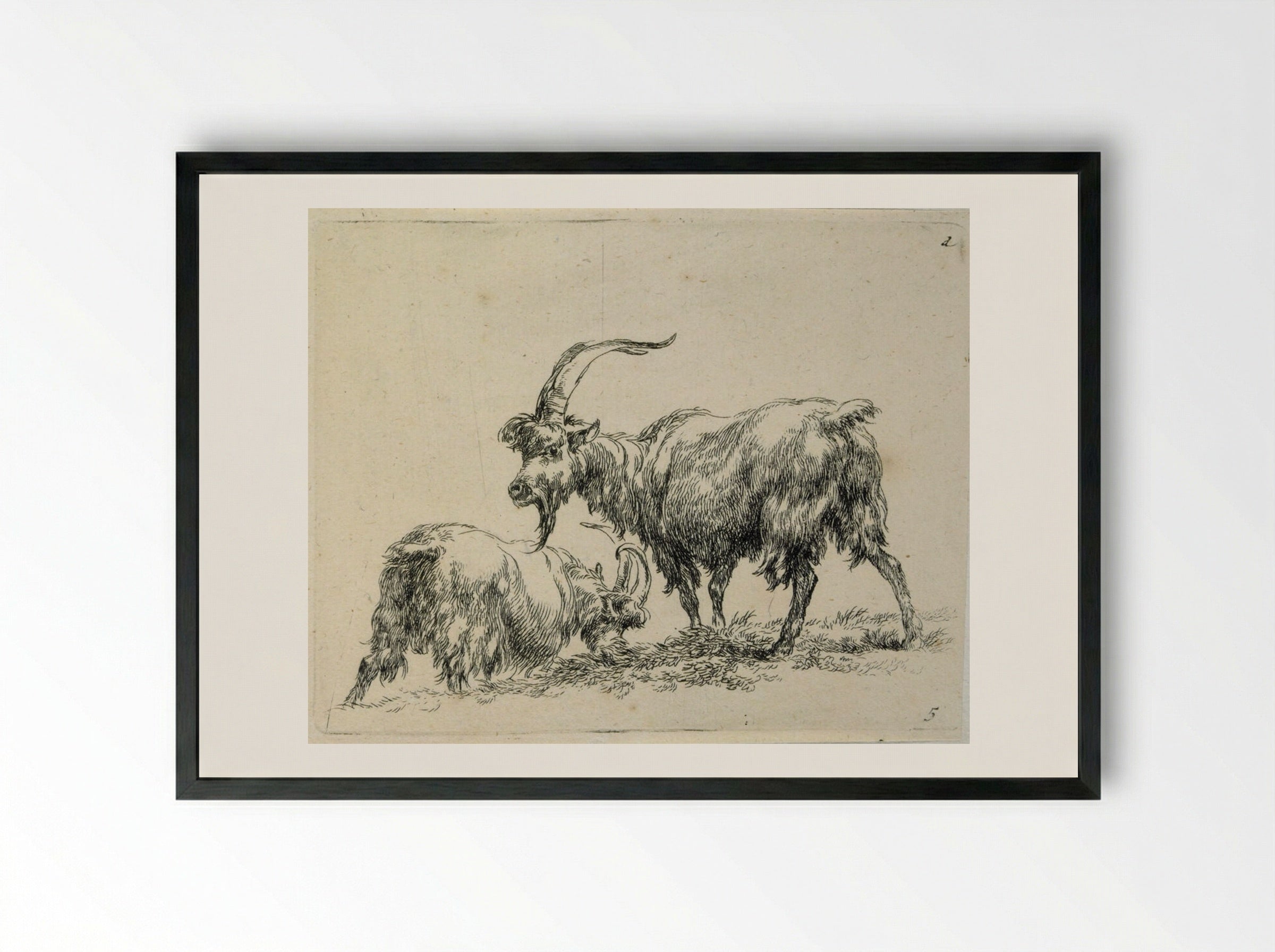 Two Goats: One Grazing, One Standing - Nicolaes Berchem the Elder - Framed Print Black