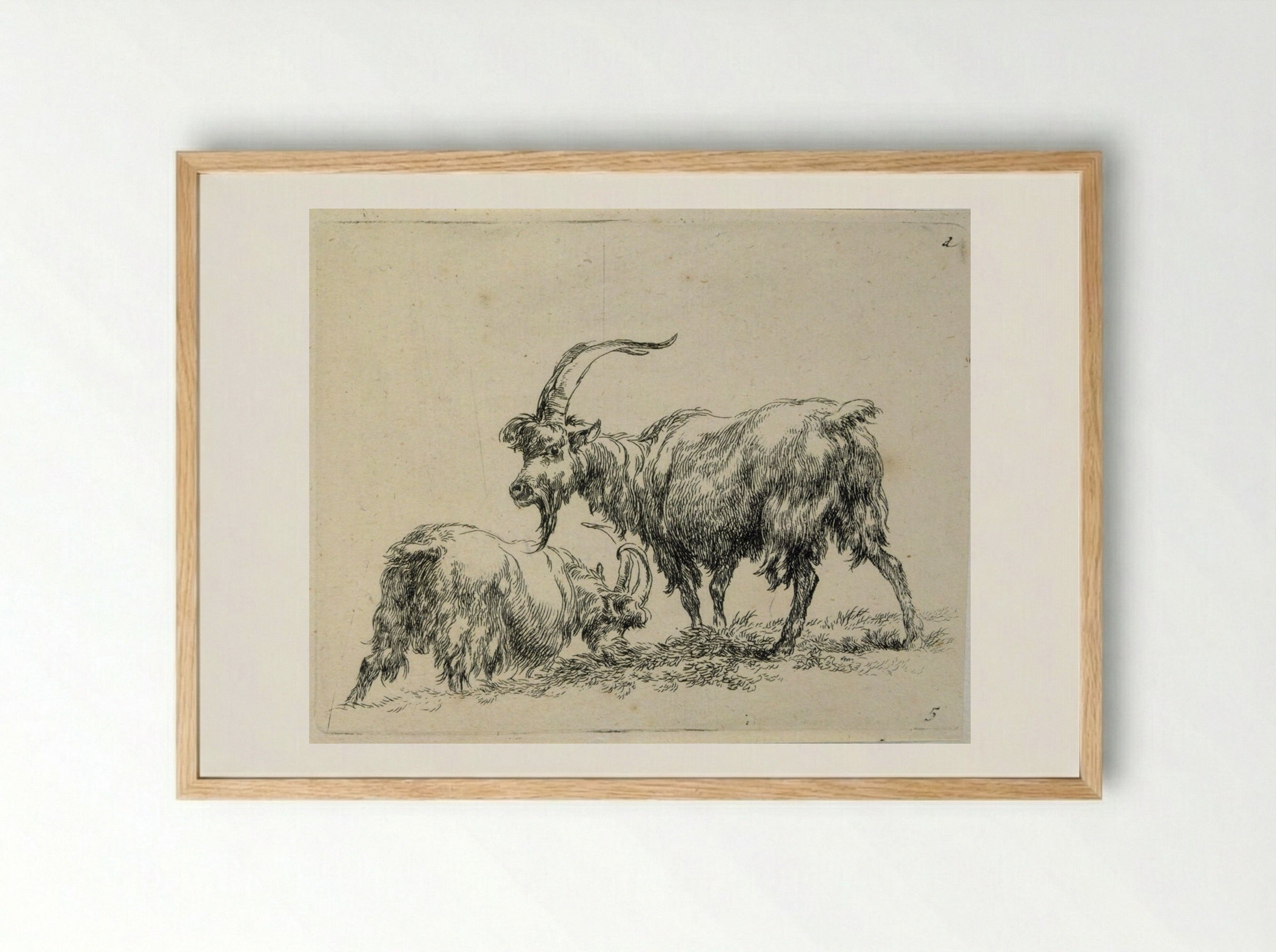 Two Goats: One Grazing, One Standing - Nicolaes Berchem the Elder - Framed Print Wood