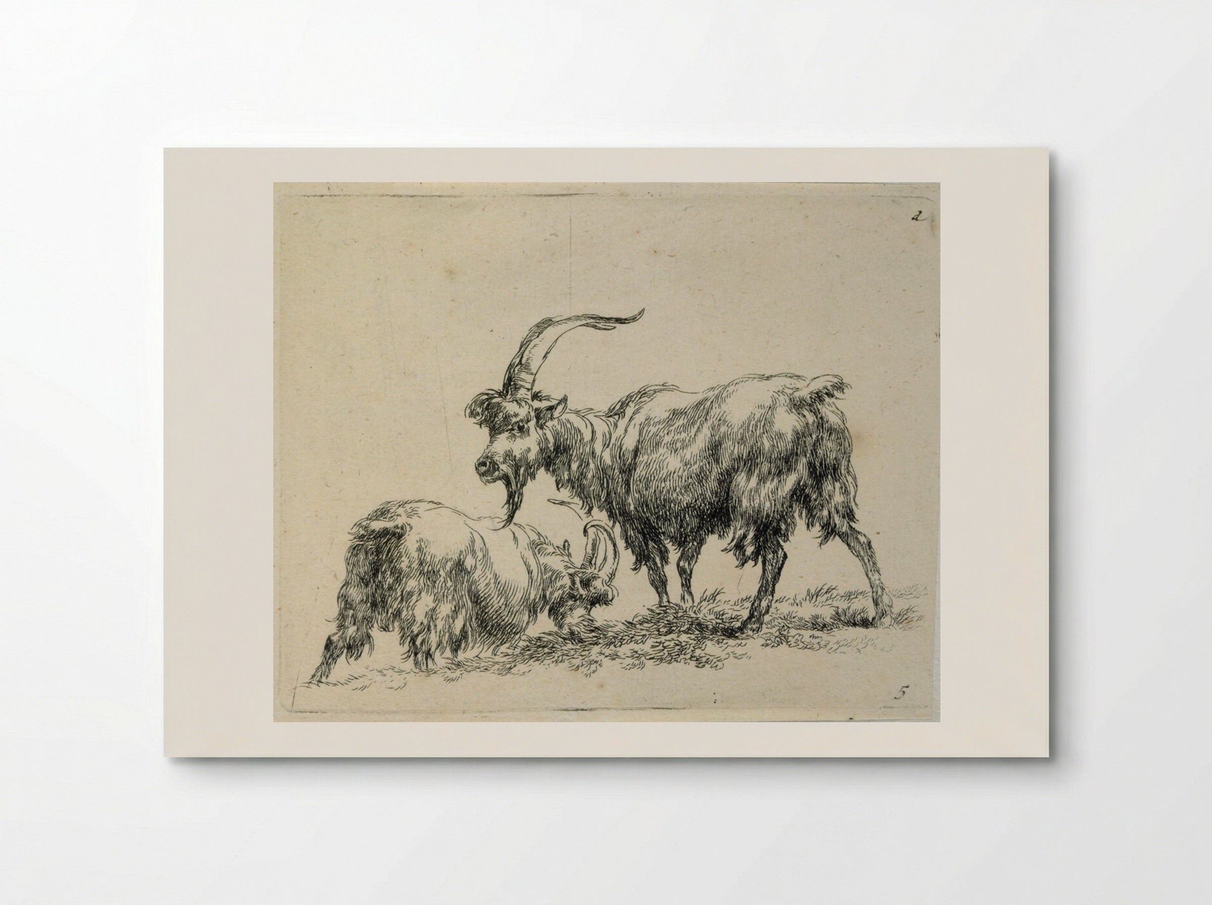 Two Goats: One Grazing, One Standing - Nicolaes Berchem the Elder - Poster