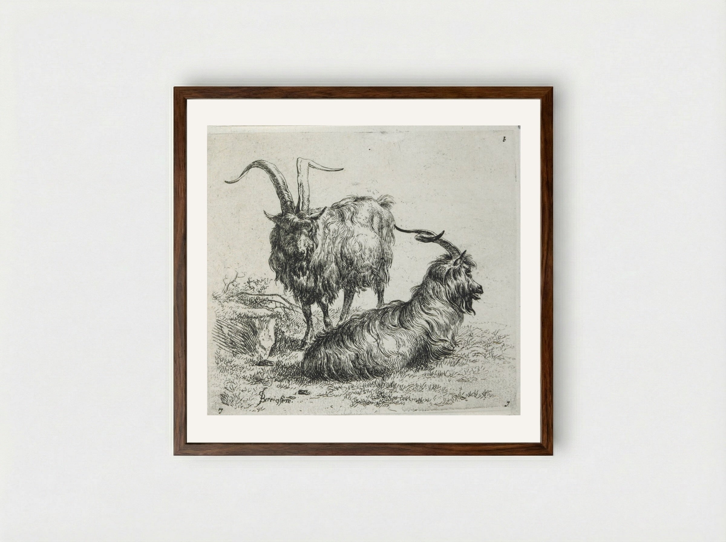 Two Goats - Nicolaes Berchem - Framed Print Dark Wood