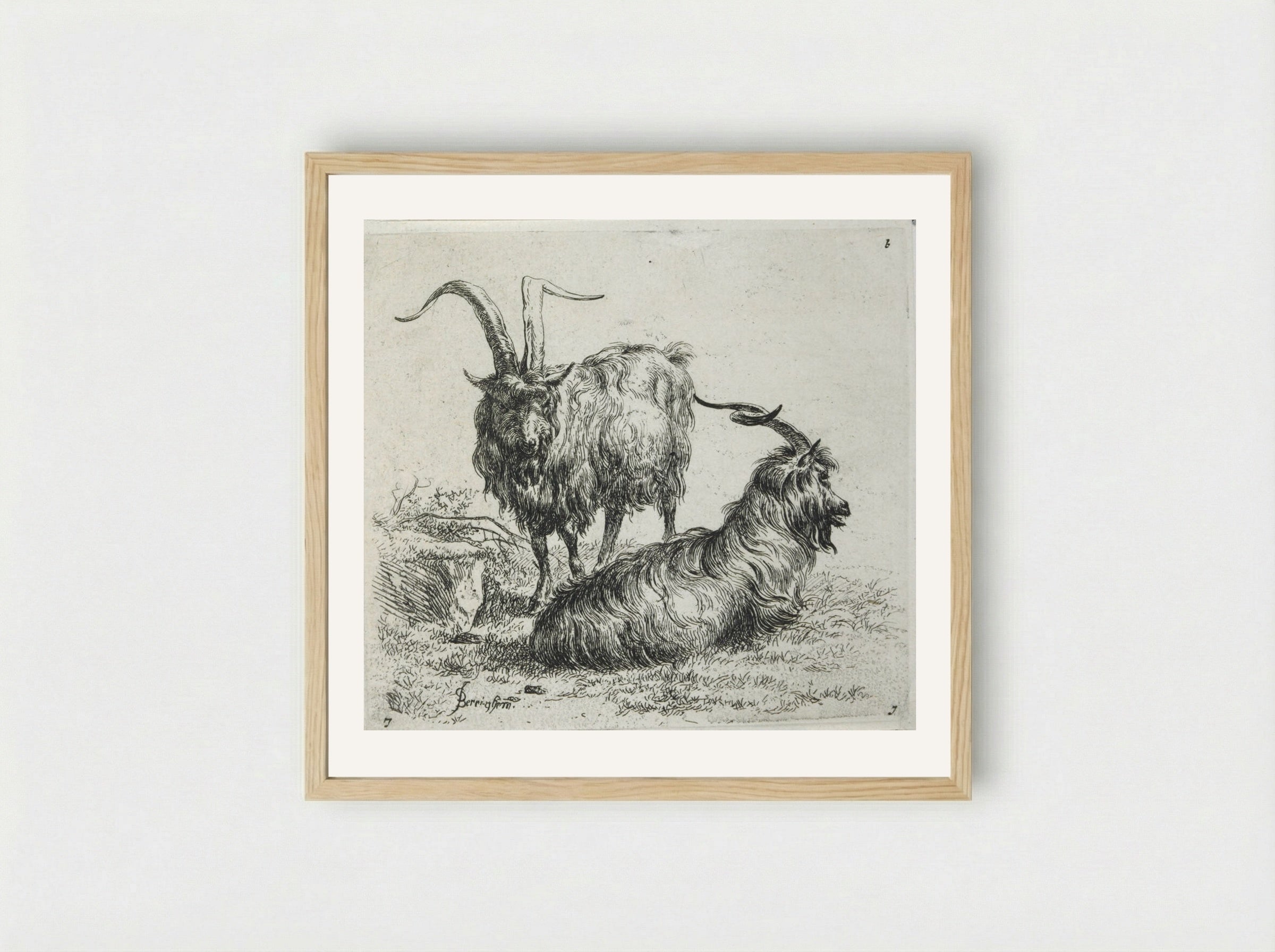 Two Goats - Nicolaes Berchem - Framed Print Wood