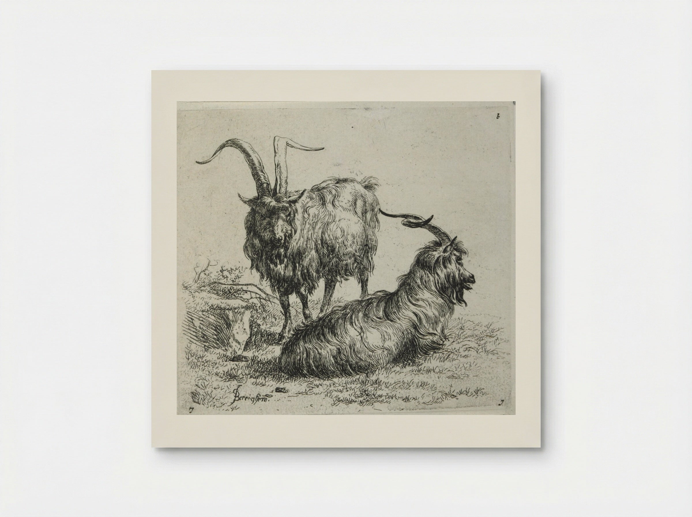 Two Goats - Nicolaes Berchem - Poster
